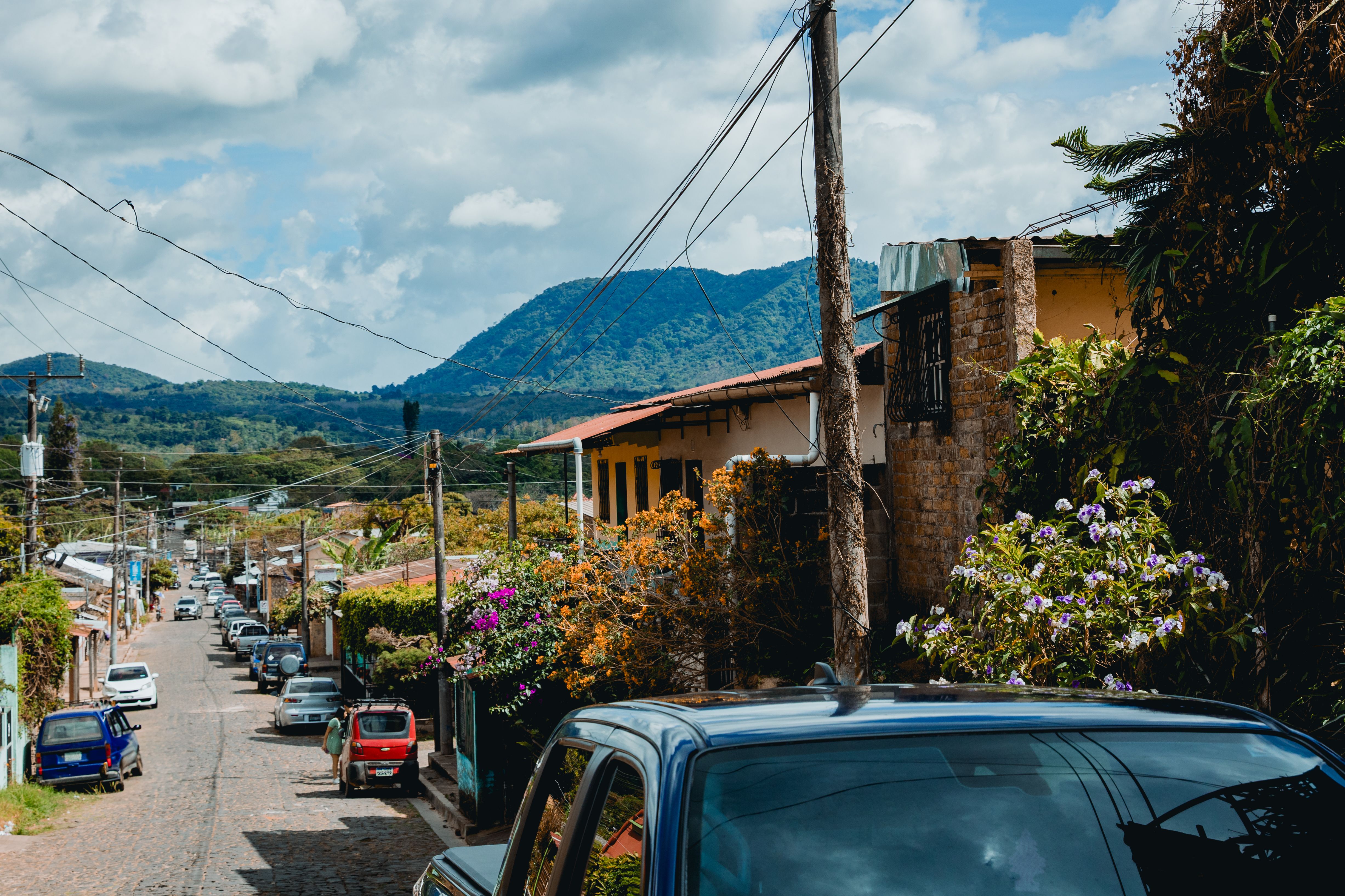 tropical climate car