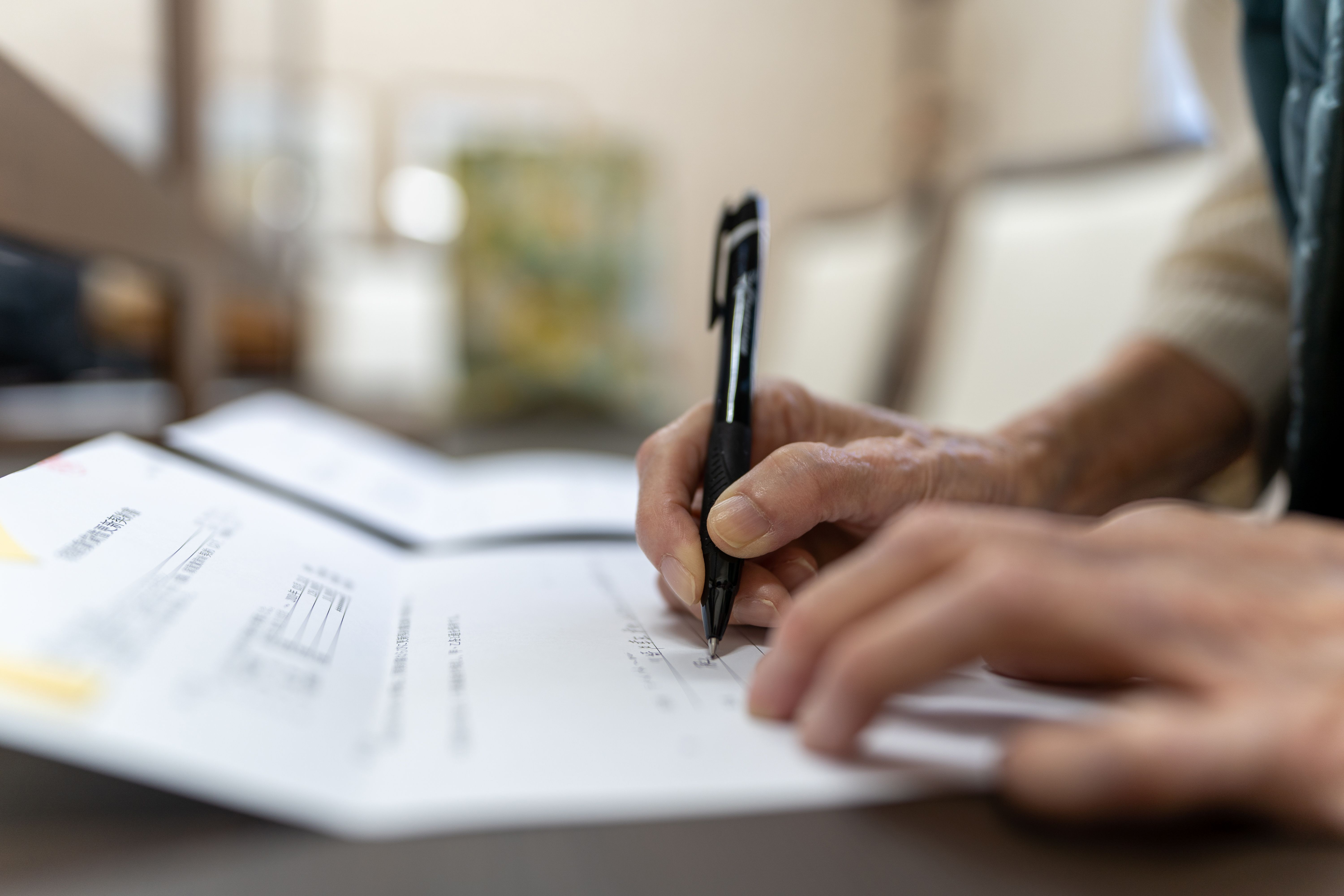 japanese pension plan