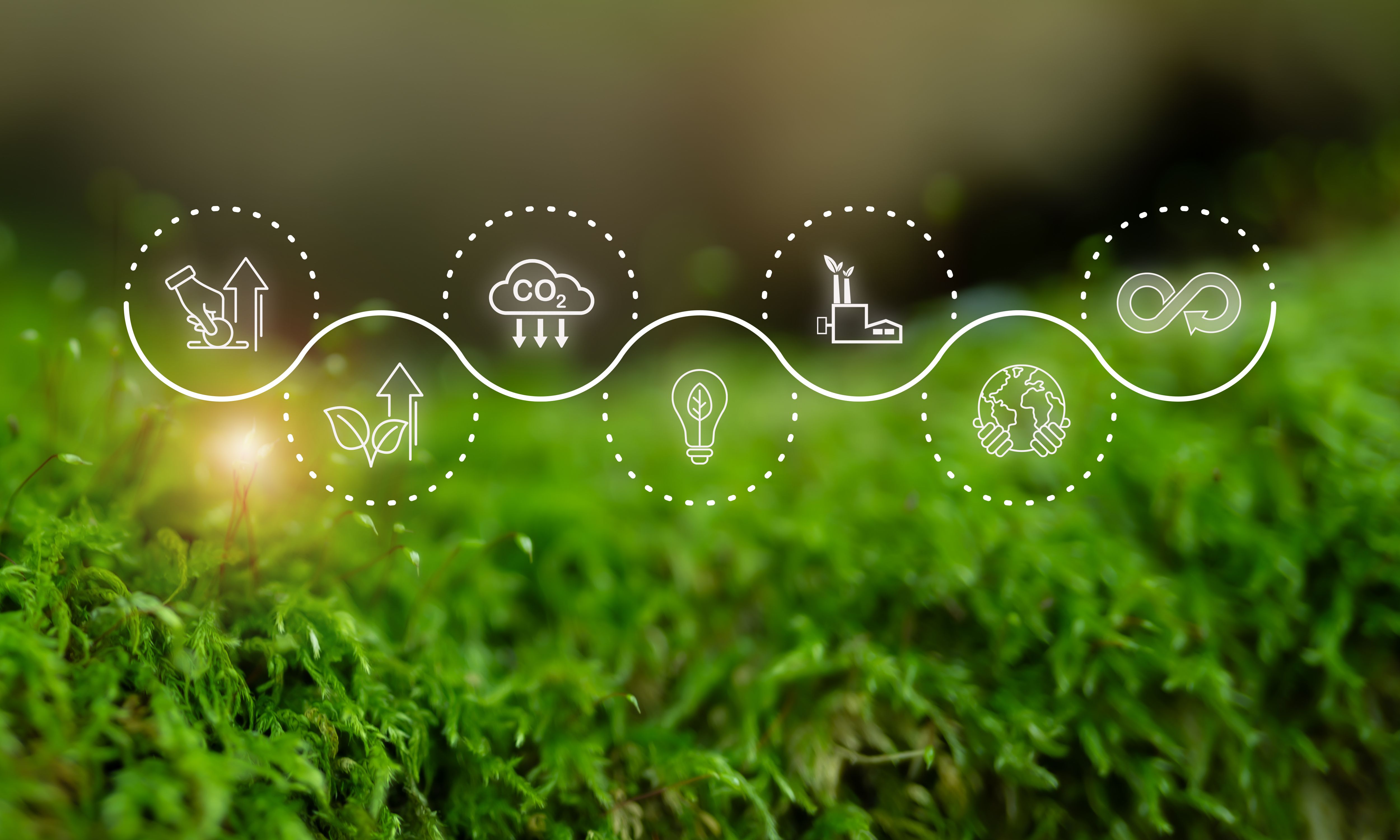 sustainable development