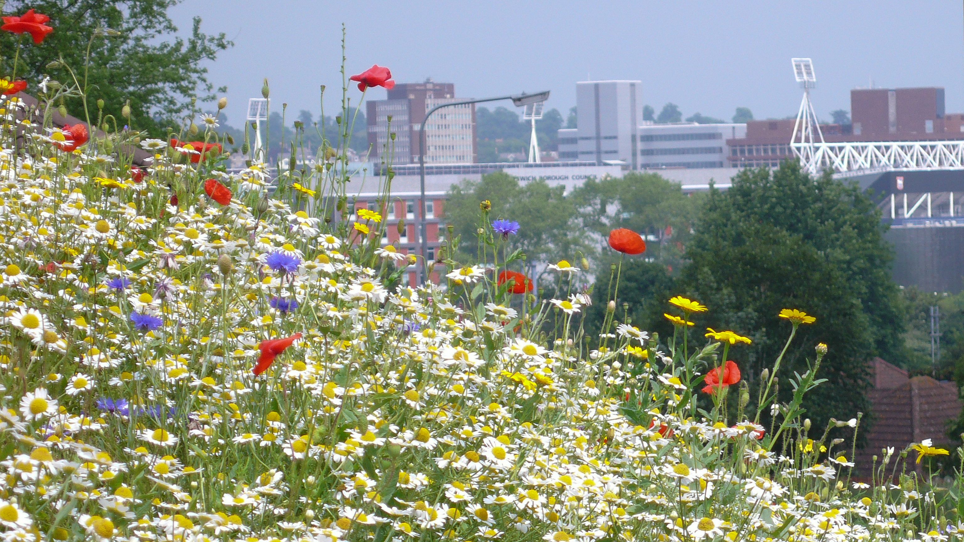 urban nature education