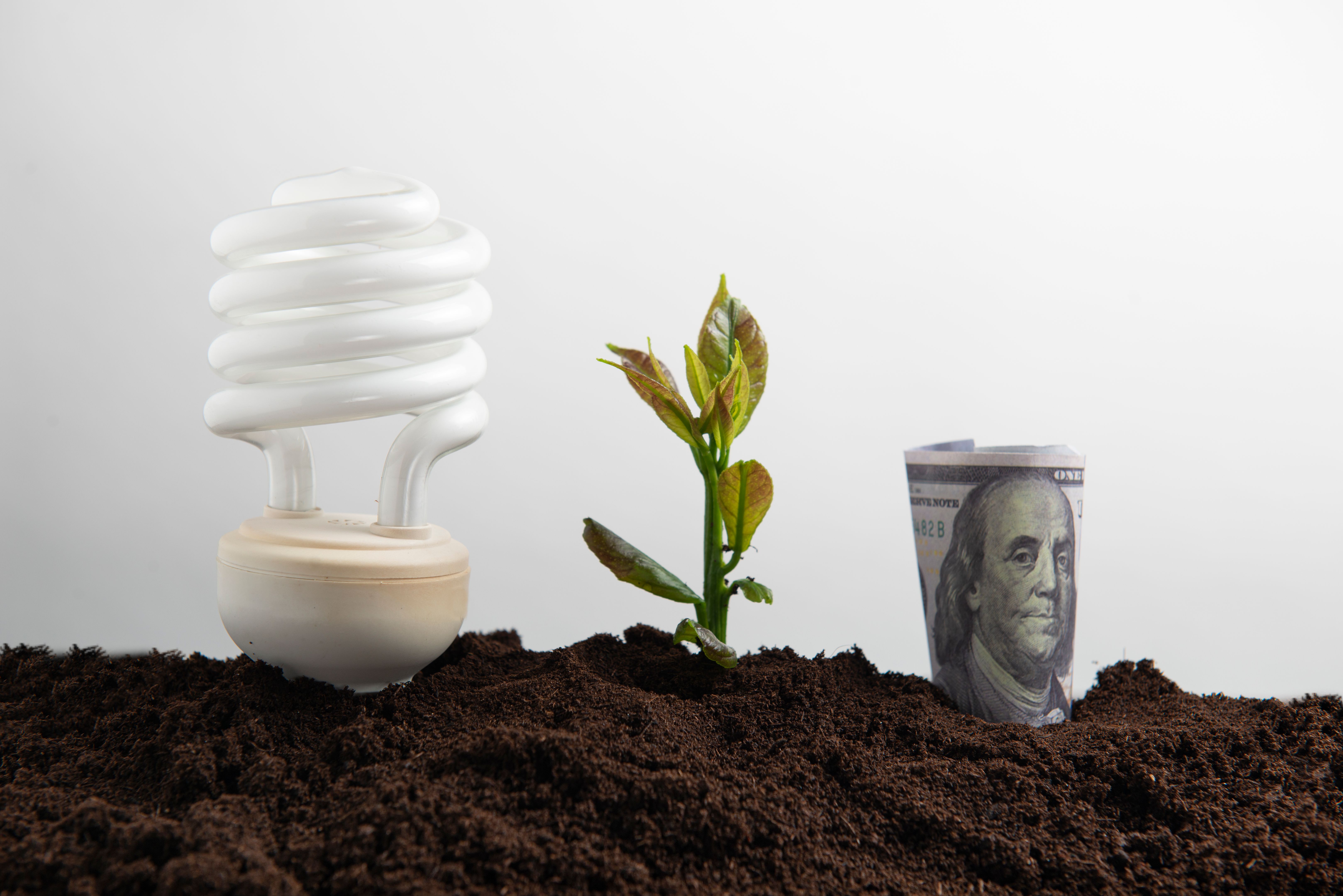 empresas sostenibles