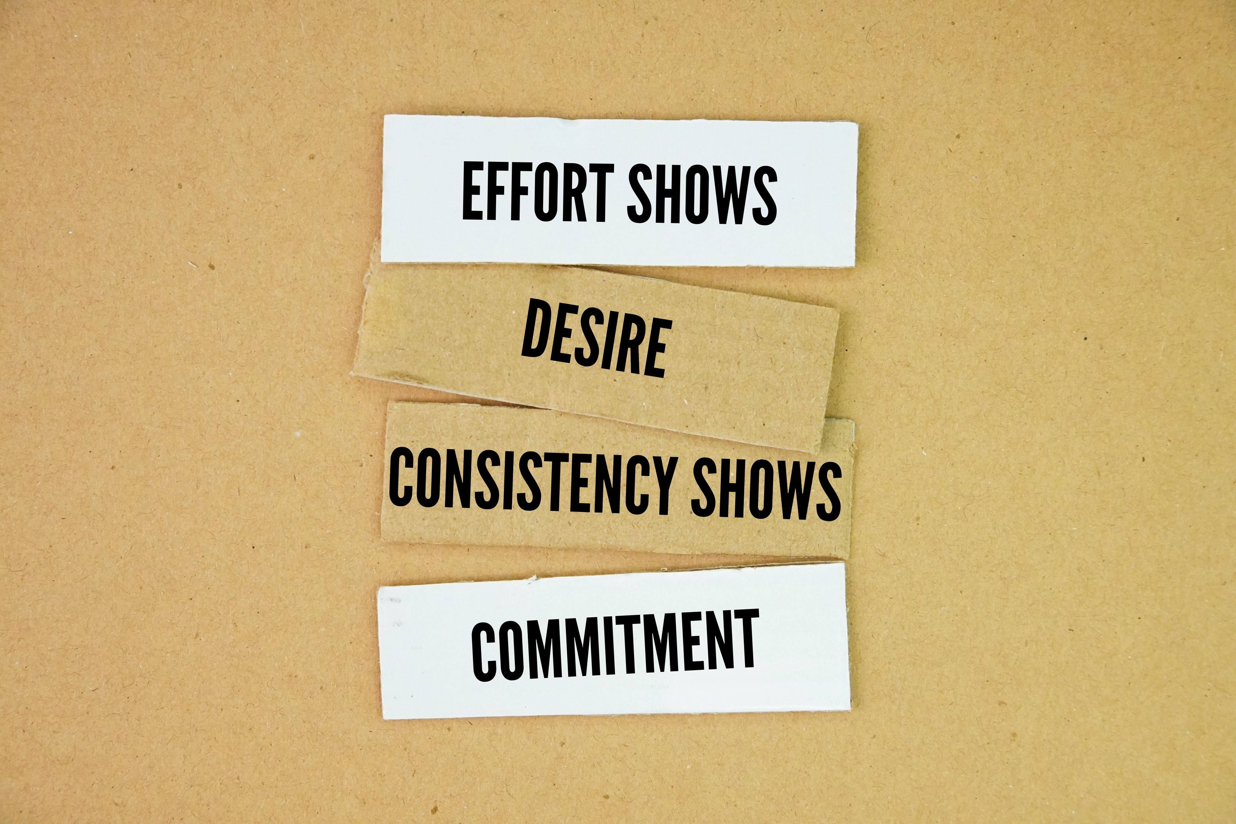 brand consistency photography