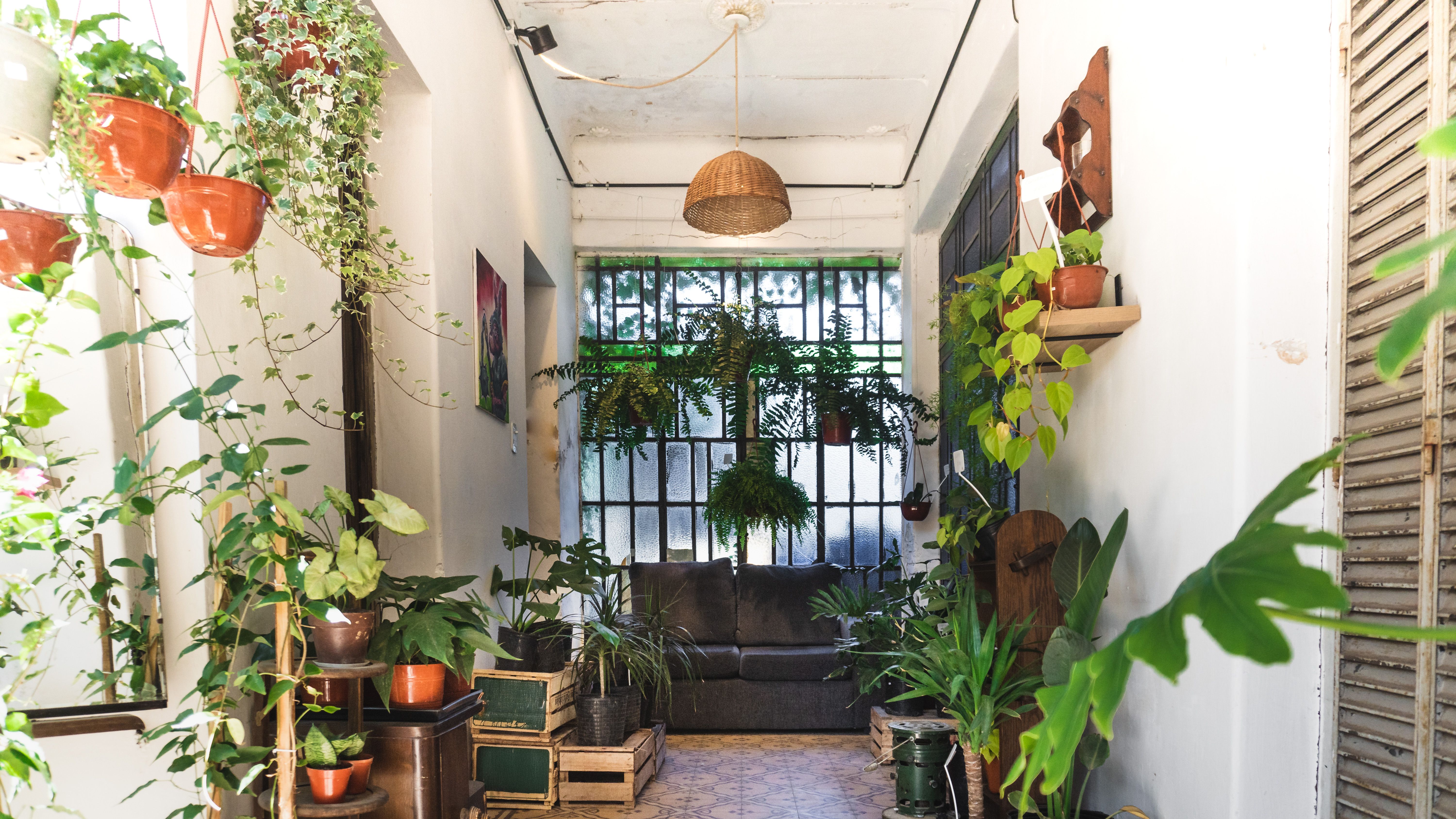 biophilic design argentina