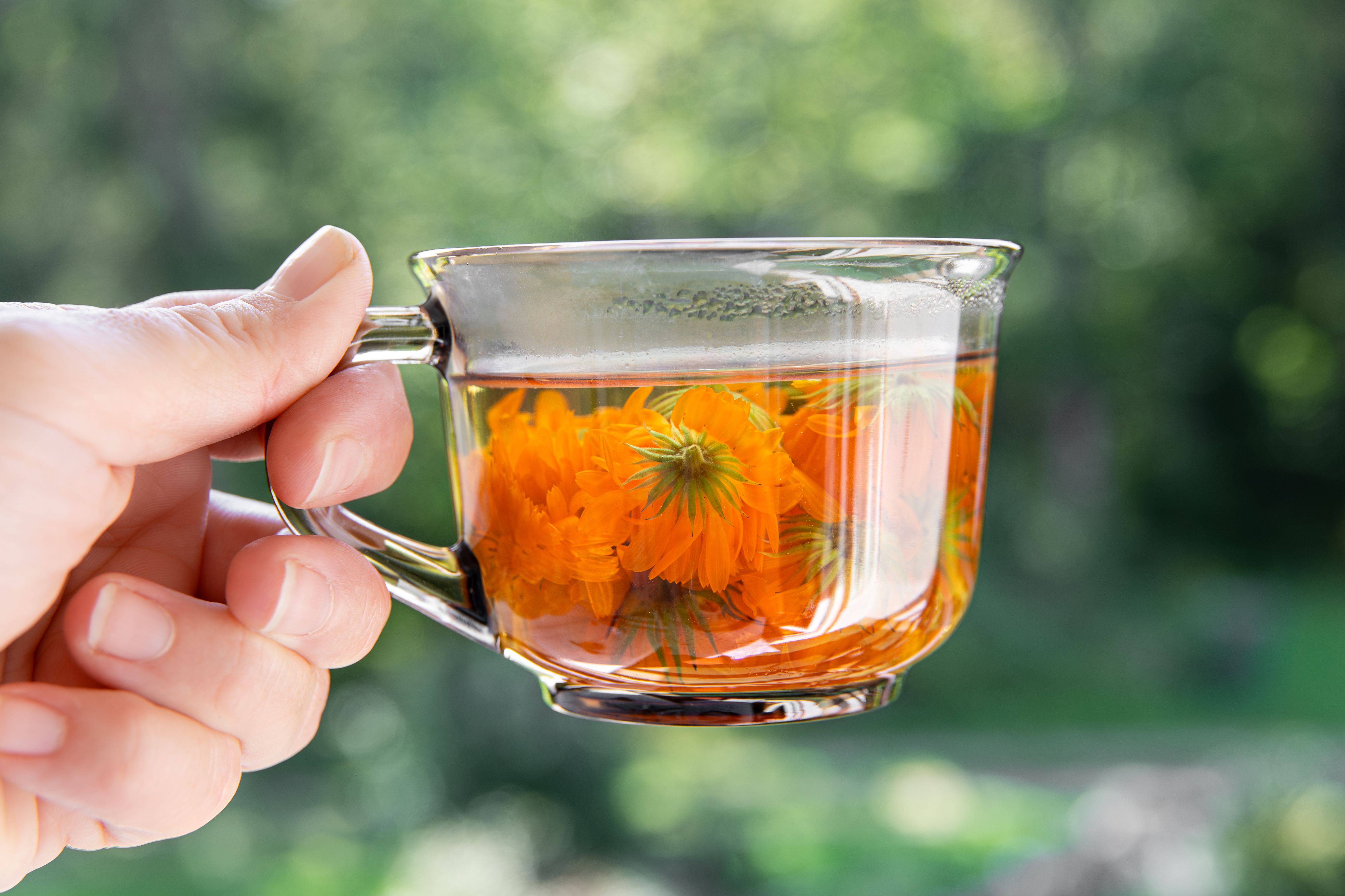 herb tea