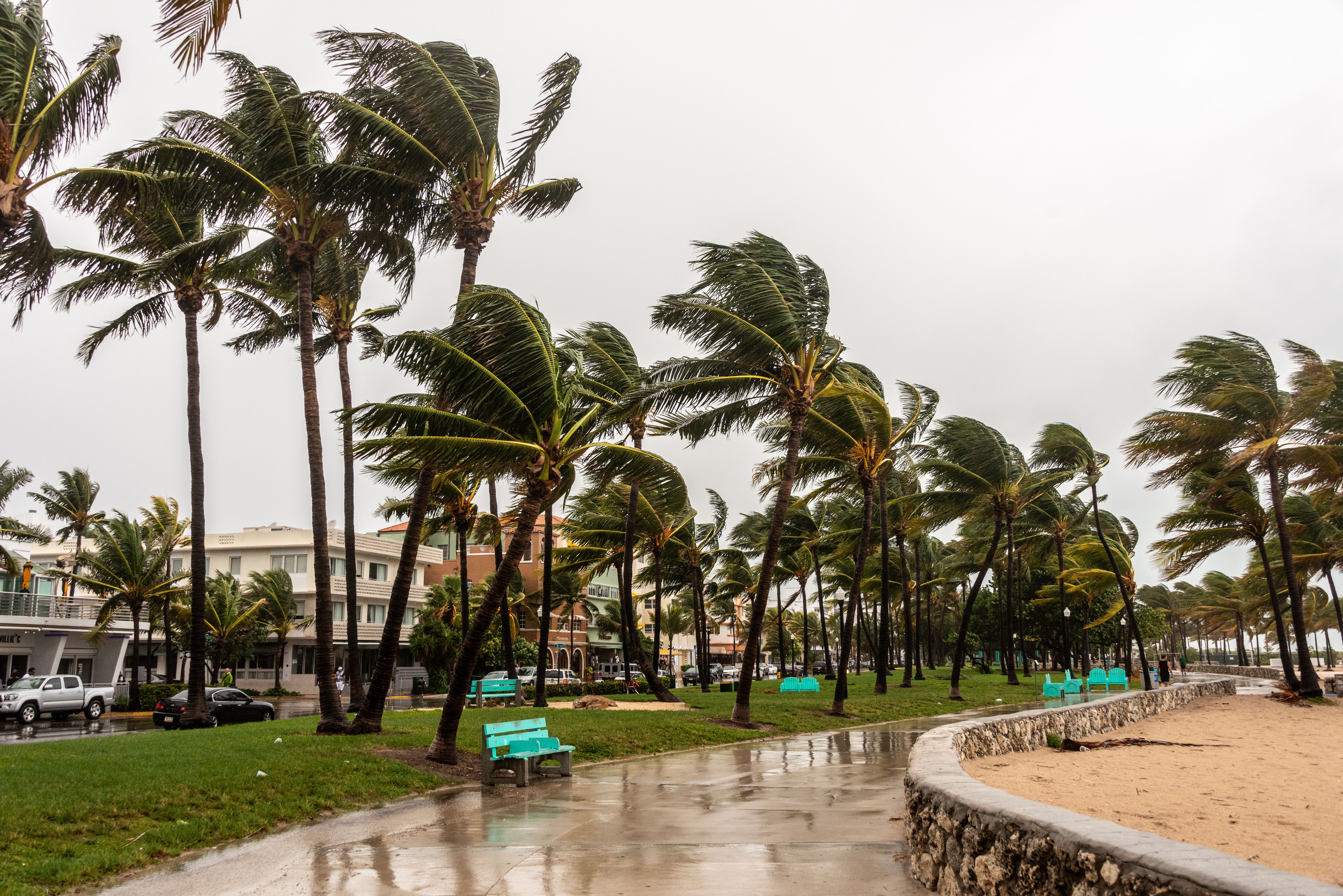 tropical weather marketing