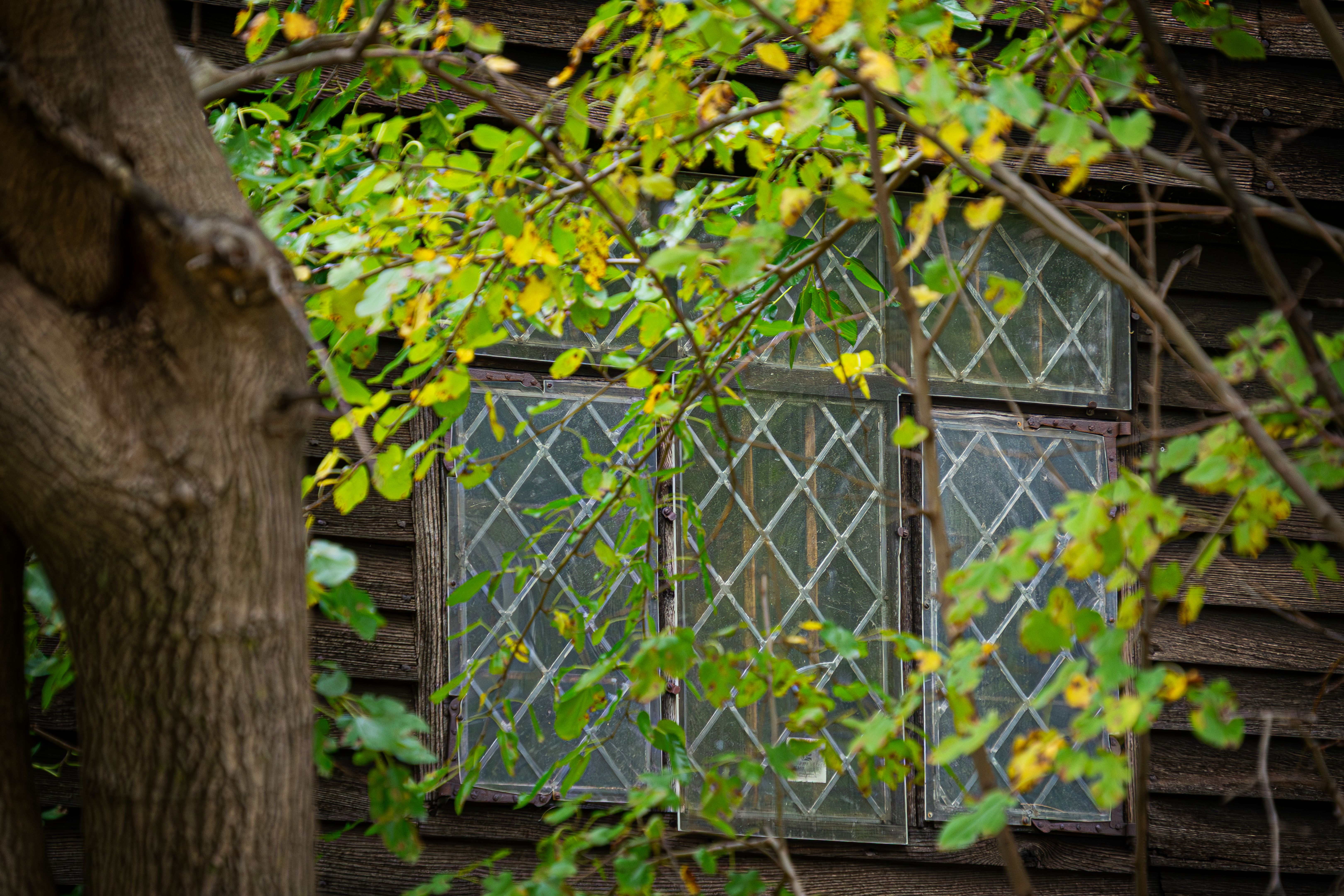 historic hartford home
