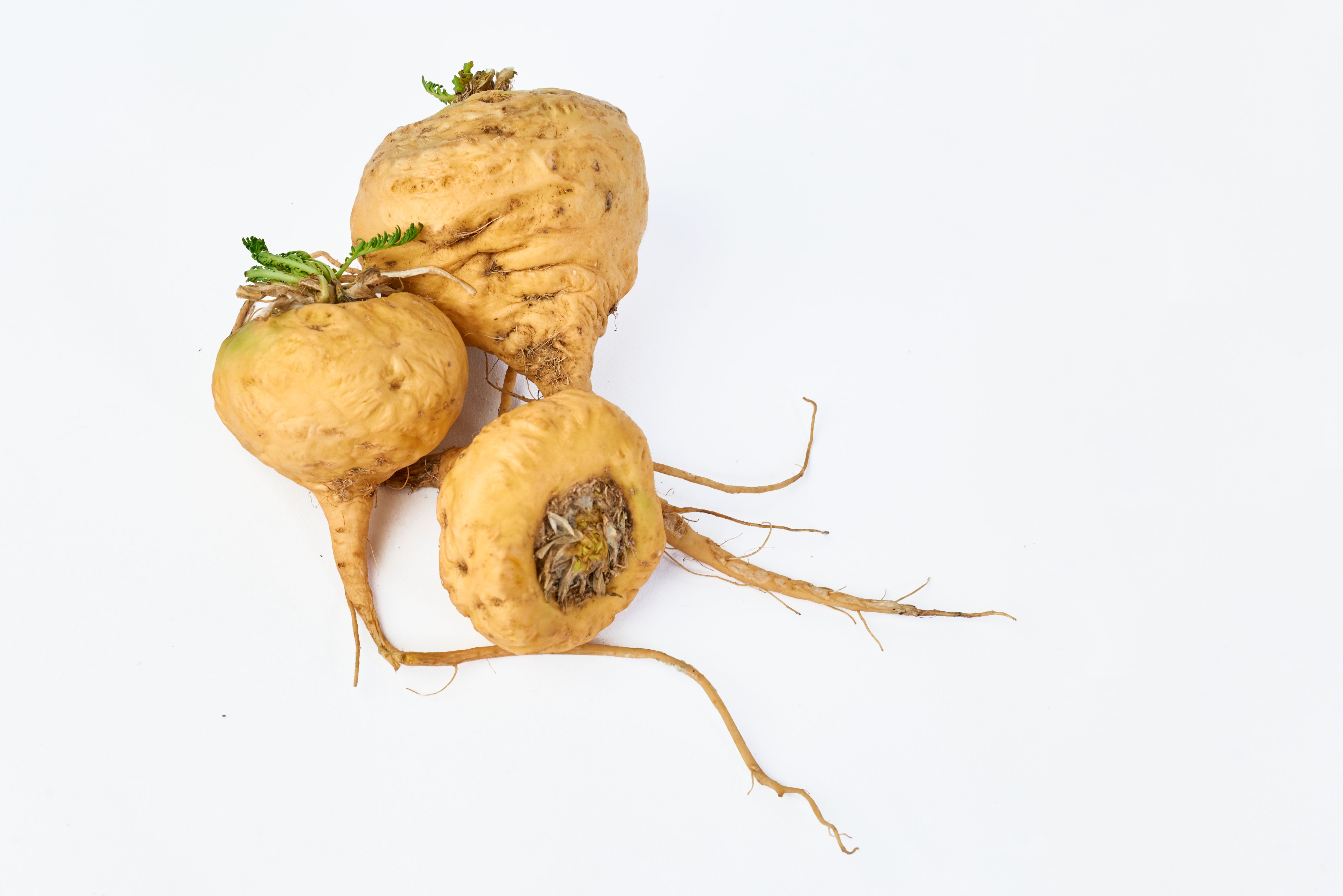 Peruvian ingredients