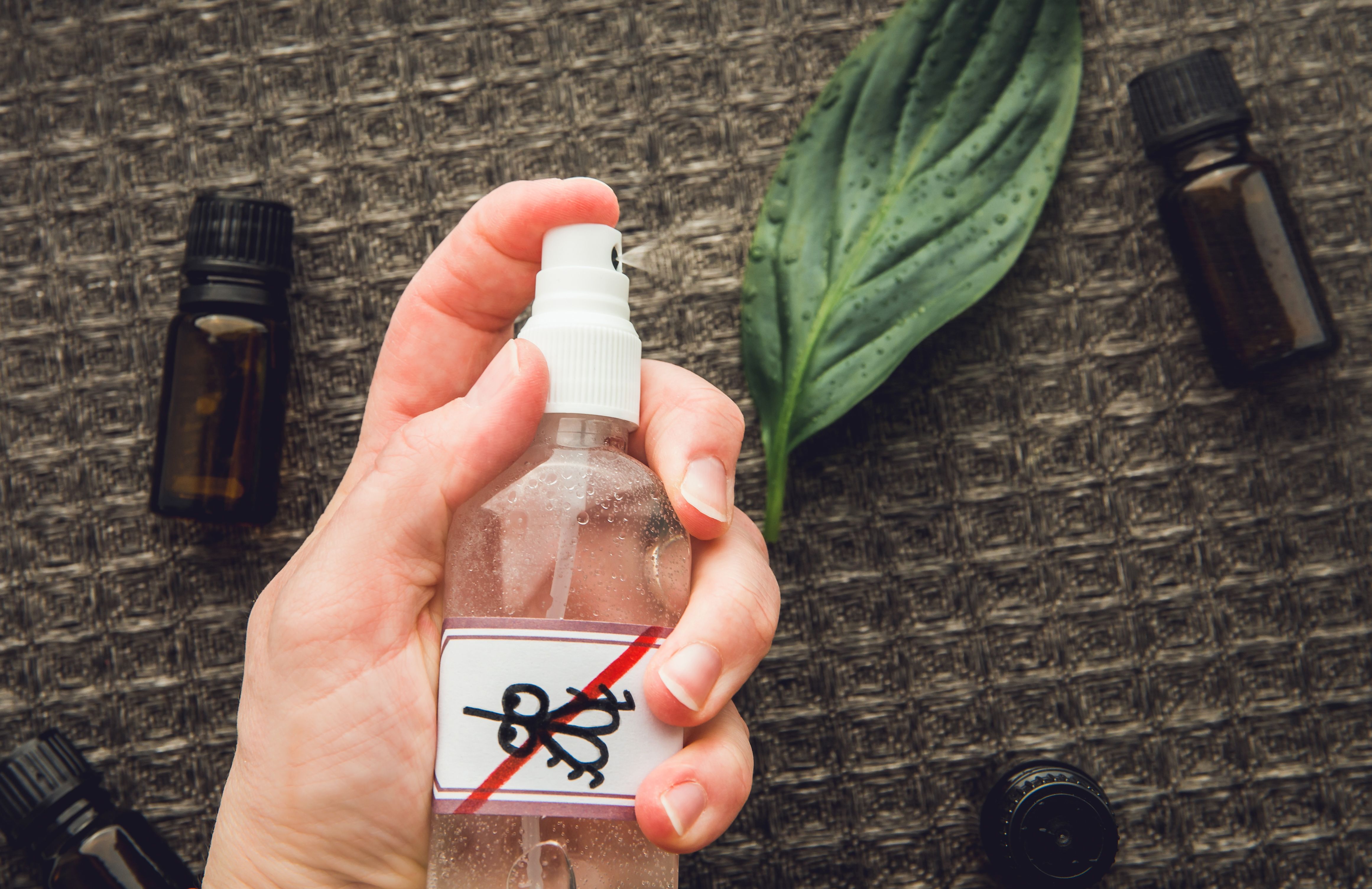 natural pest control