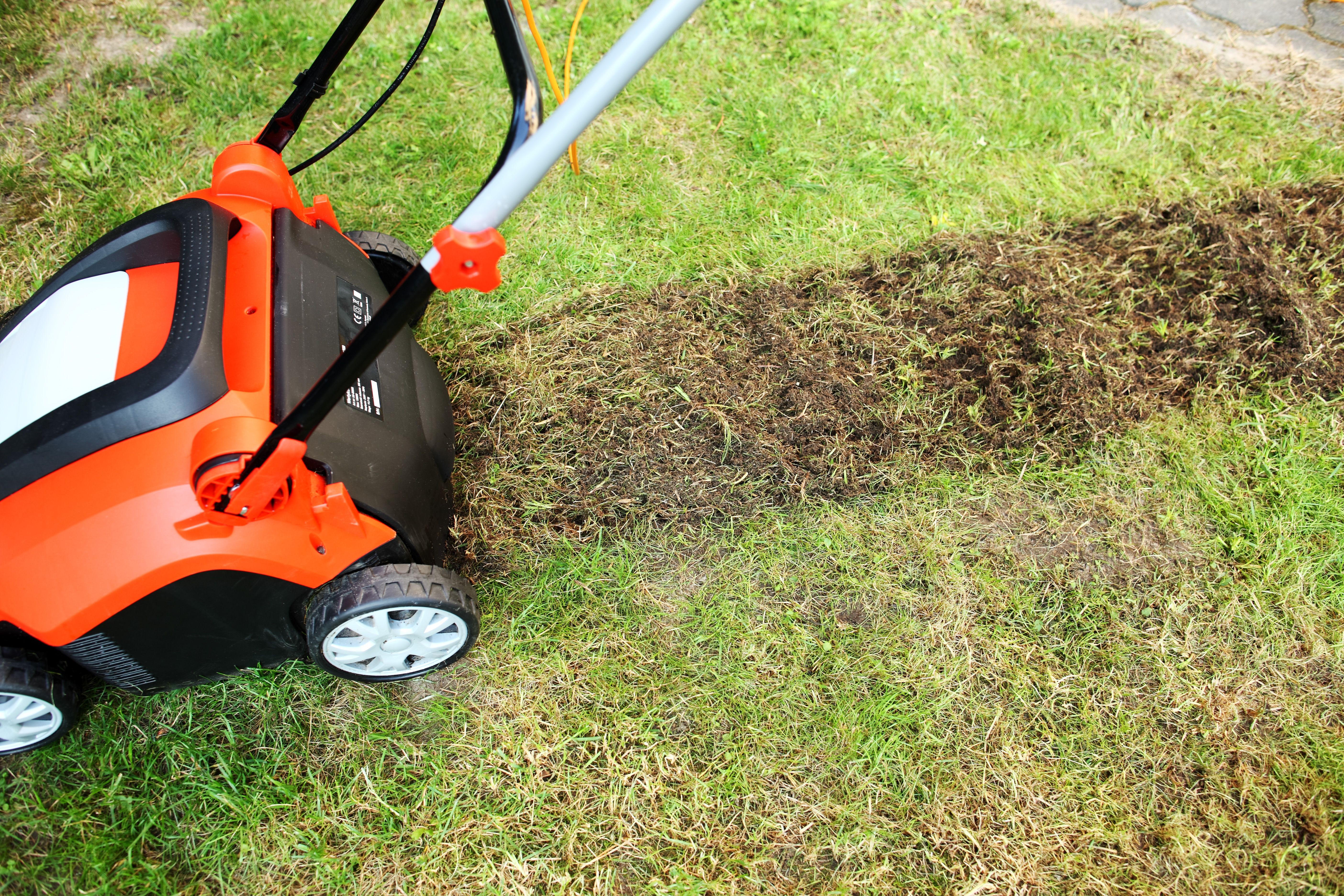 lawn aeration