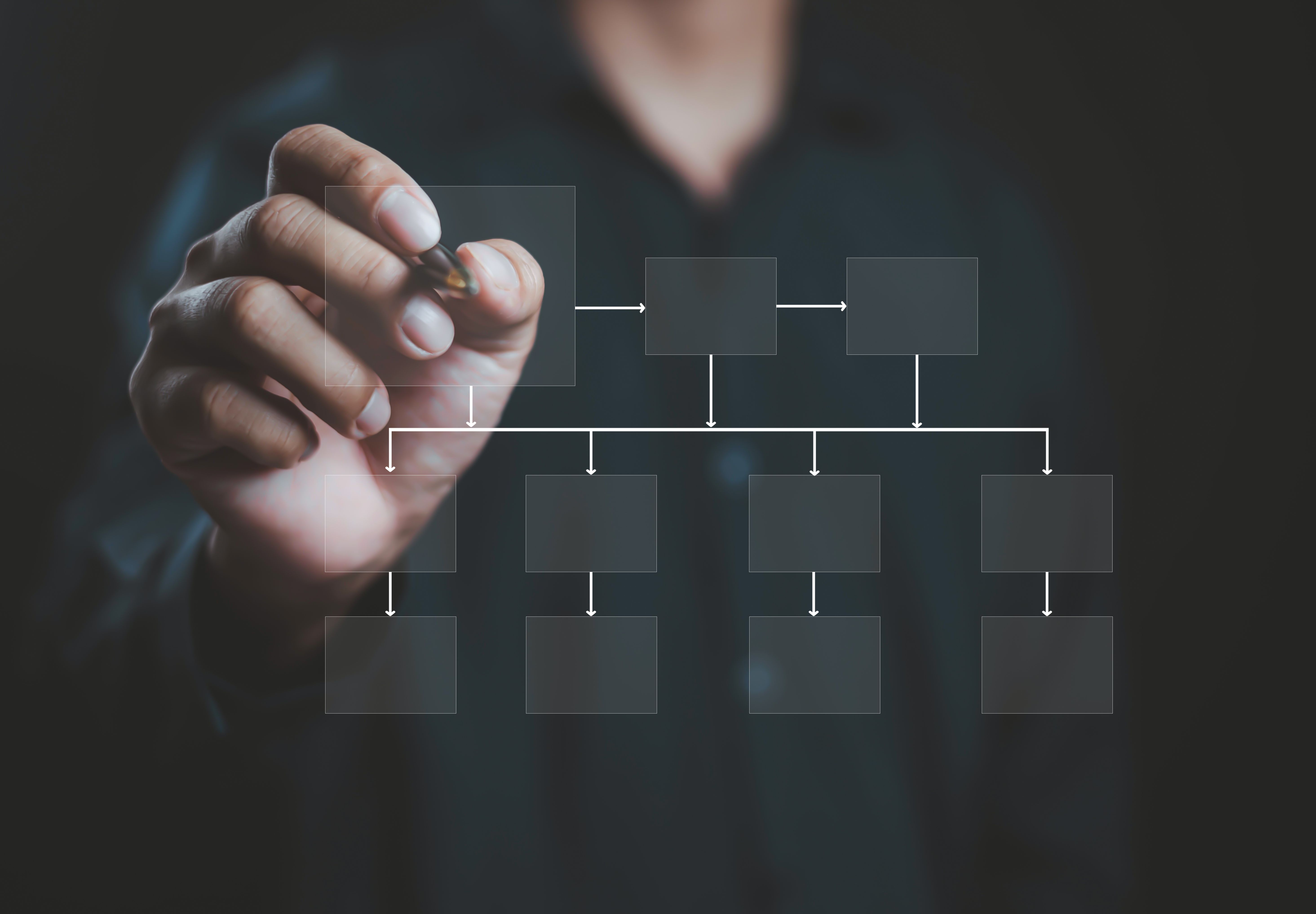 organizational chart