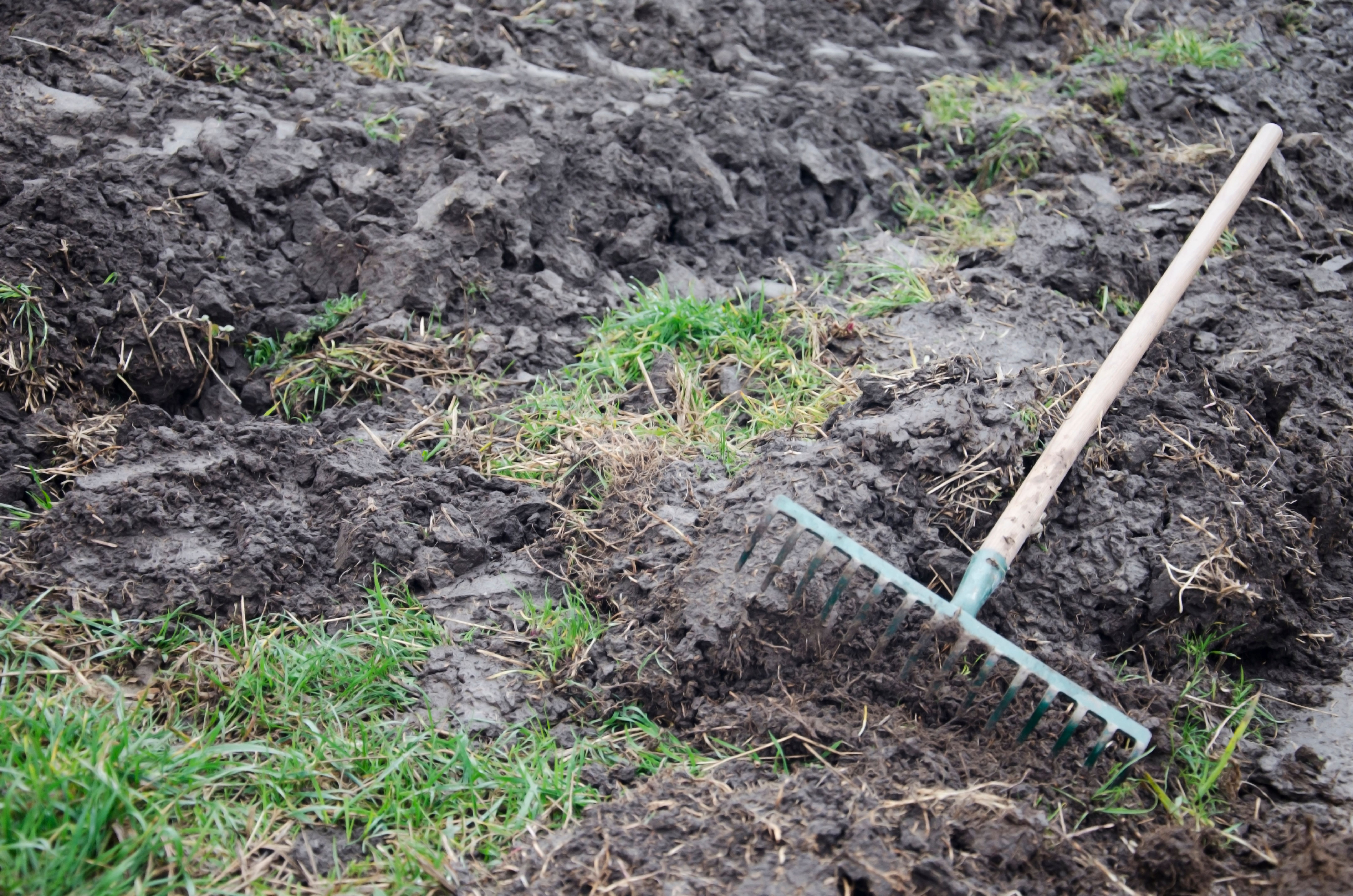 gardening soil preparation