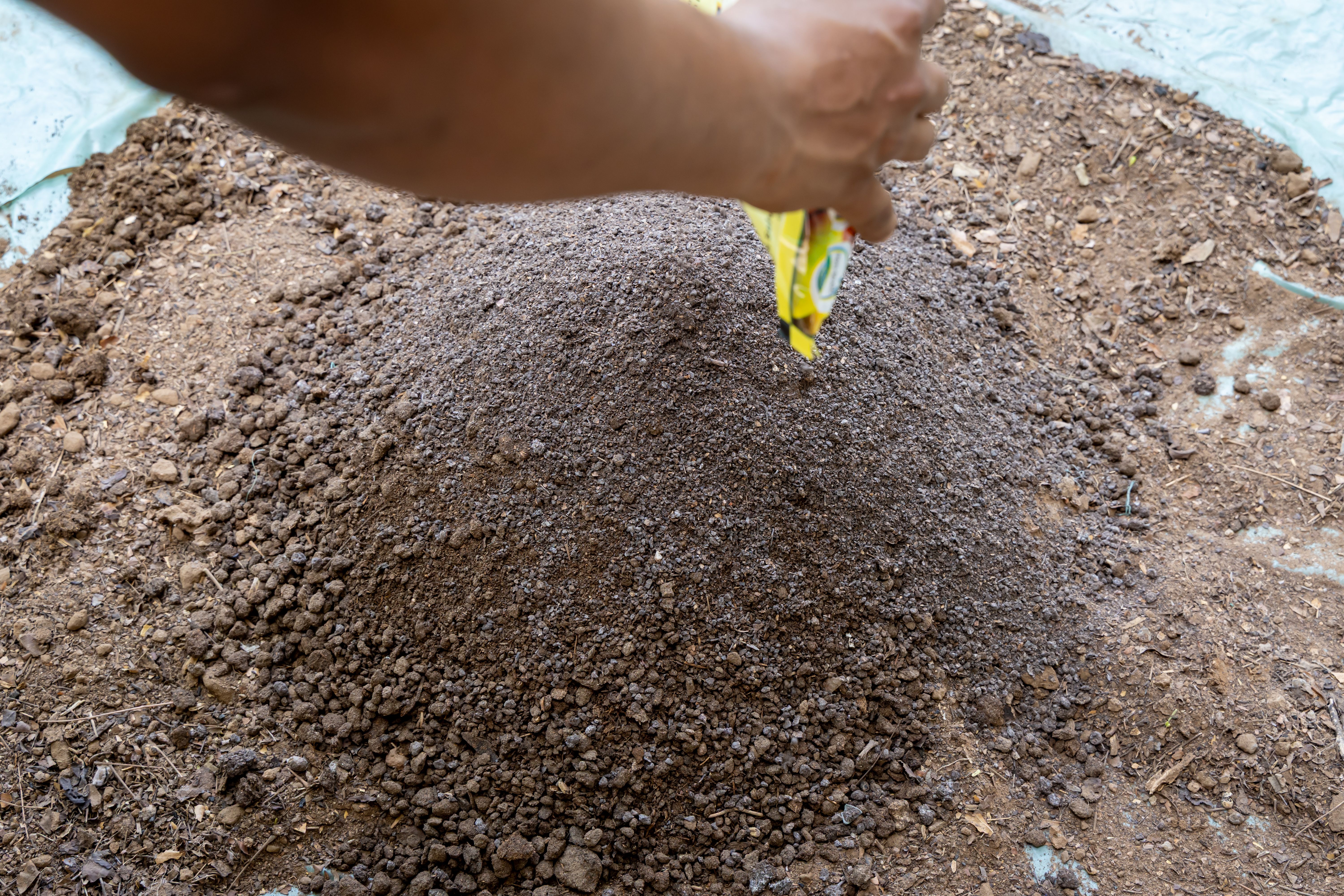 compost fertilizer