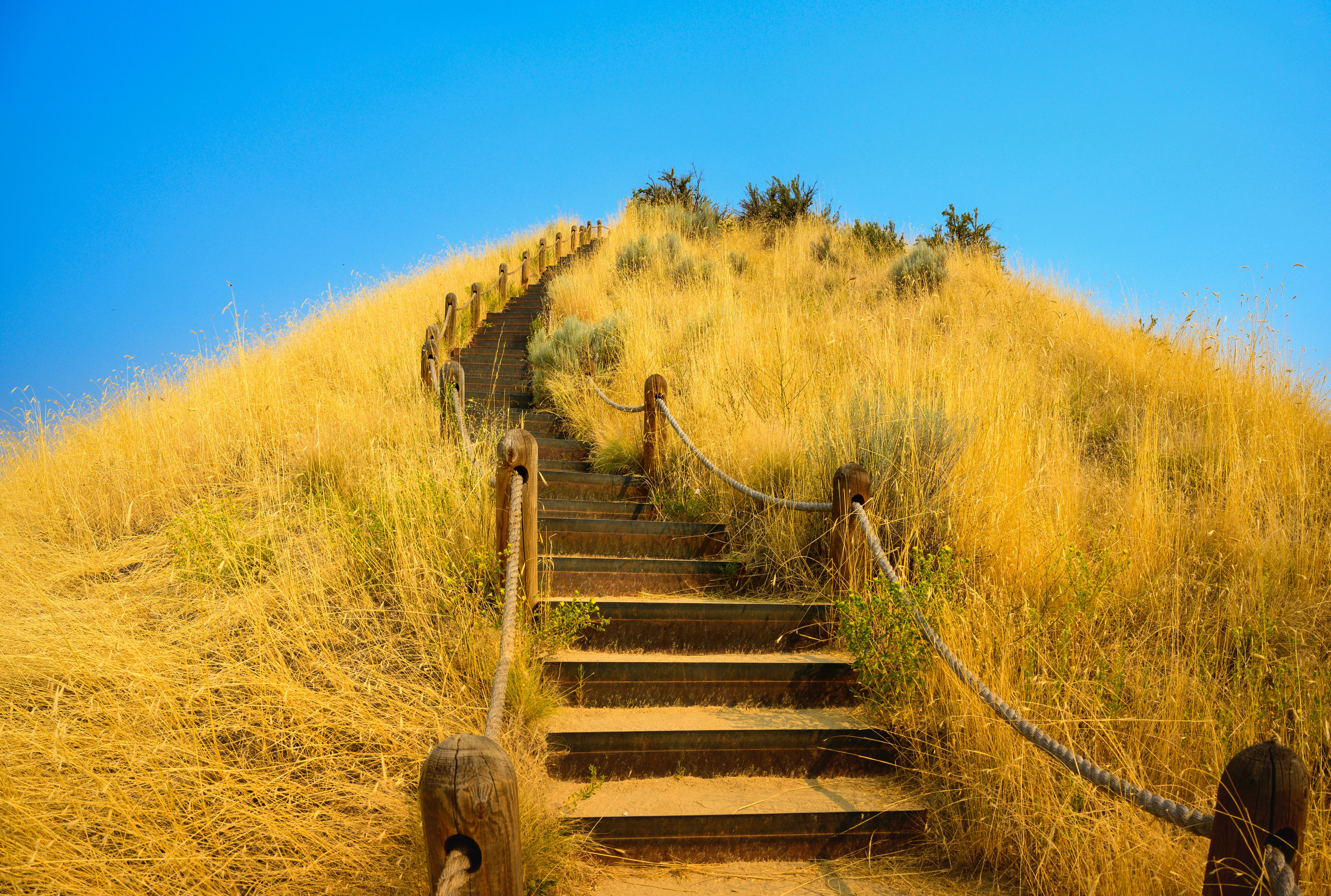 Hiking trail through the golden dried plants on the arid summer hill:  The tranquil beauty of the Camels Back Trail Hills in Boise, Idaho, United States