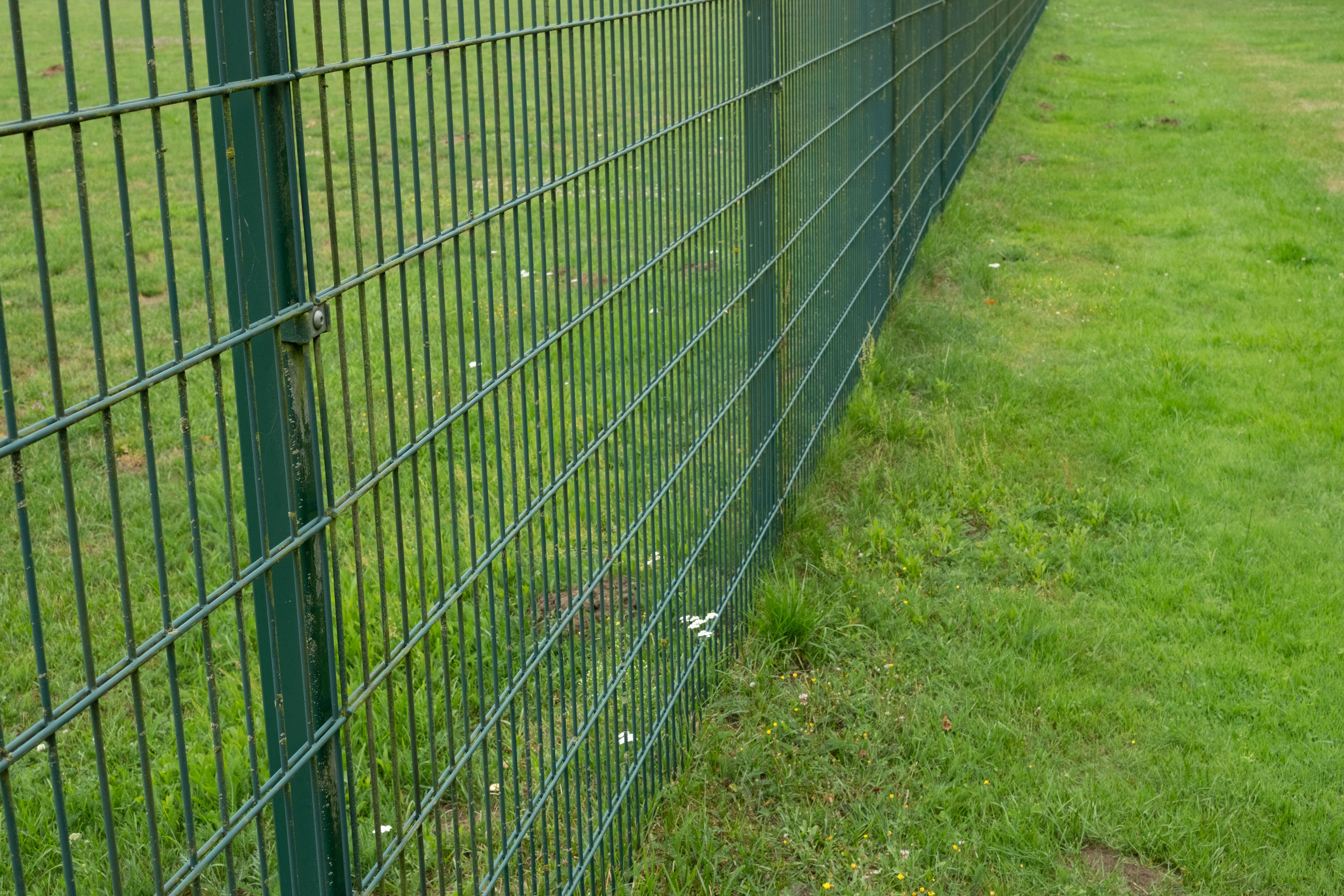 metal fence