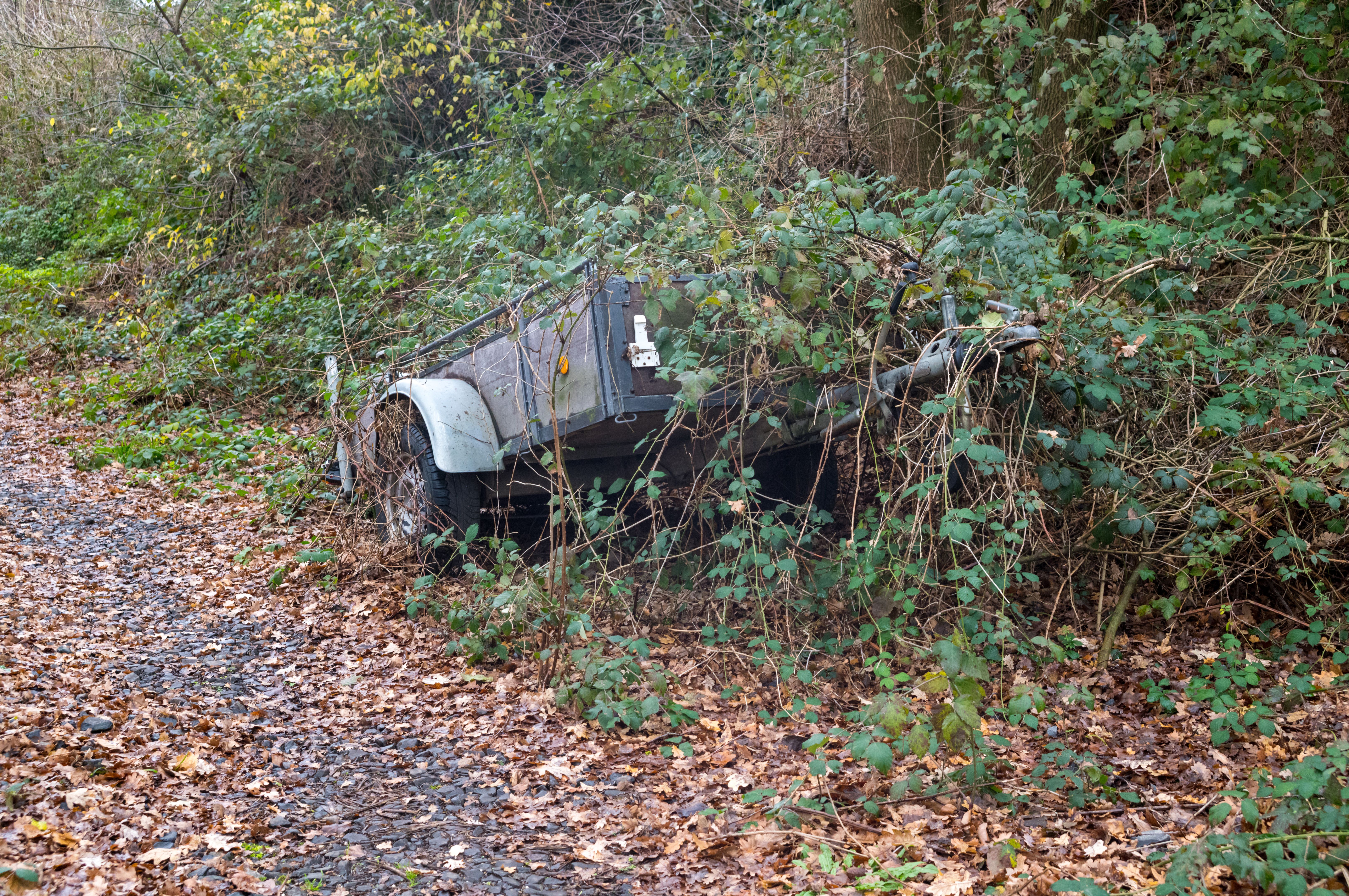 dump trailer autumn