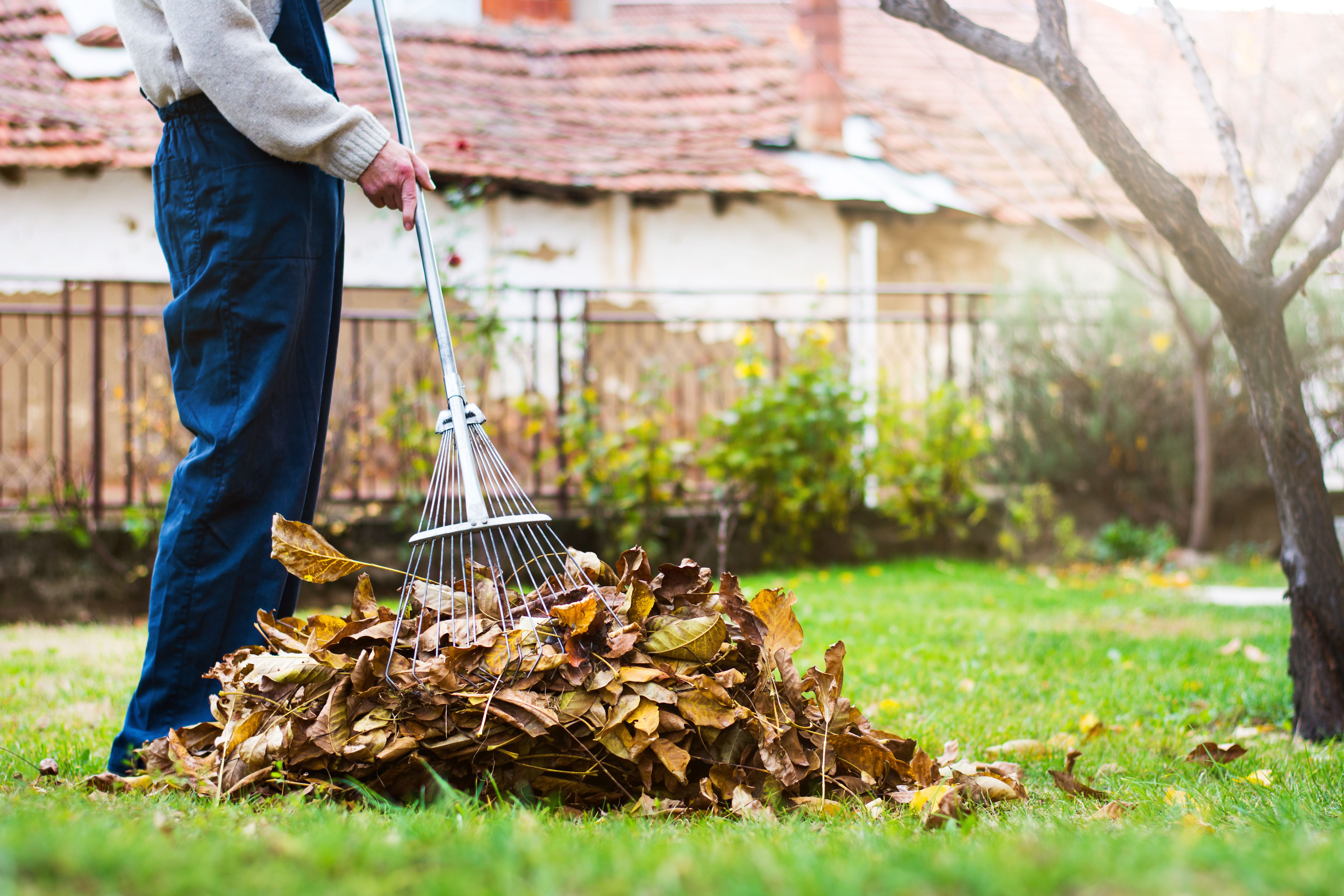 cleaning outdoor