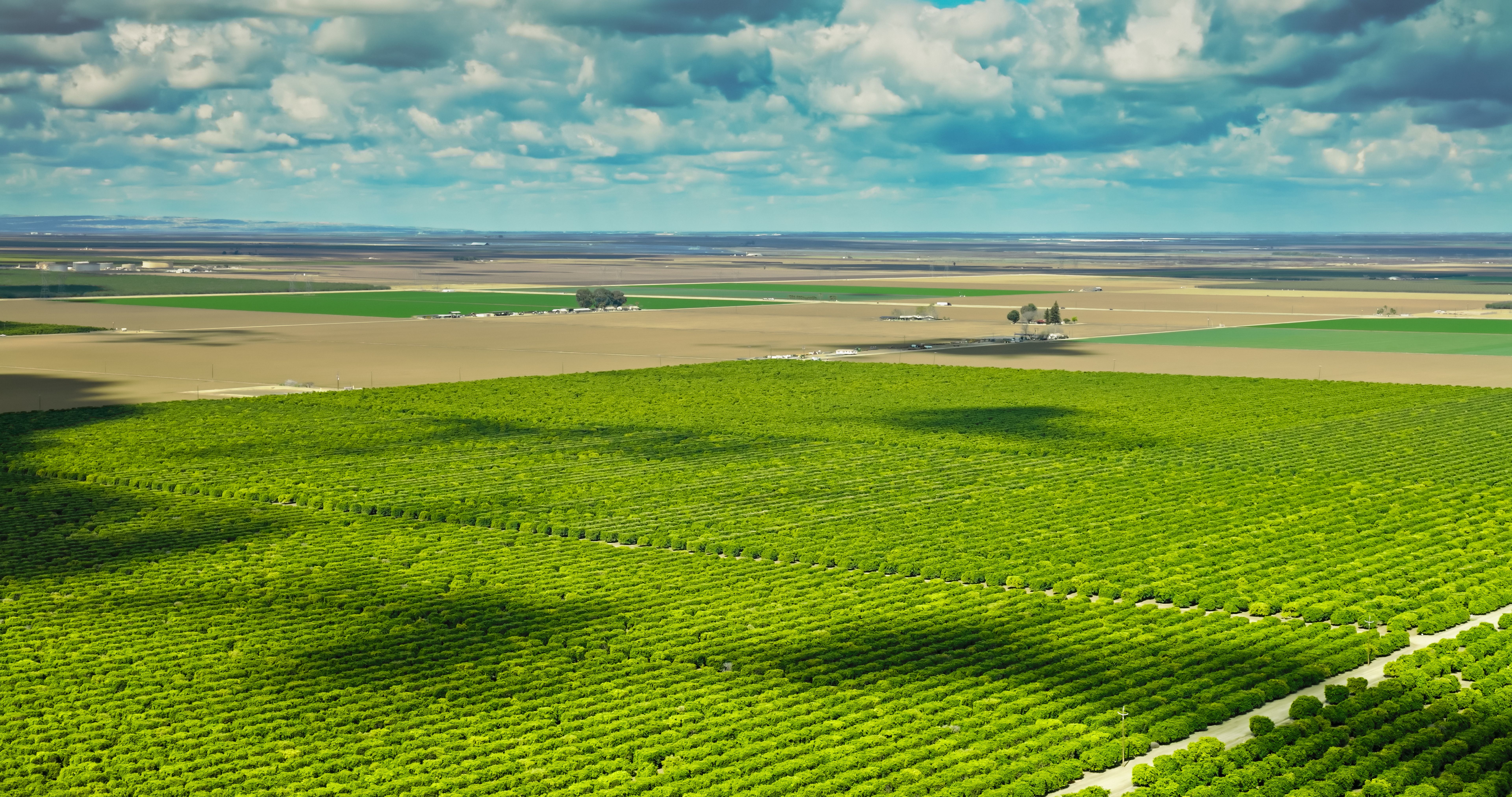central valley garden summer