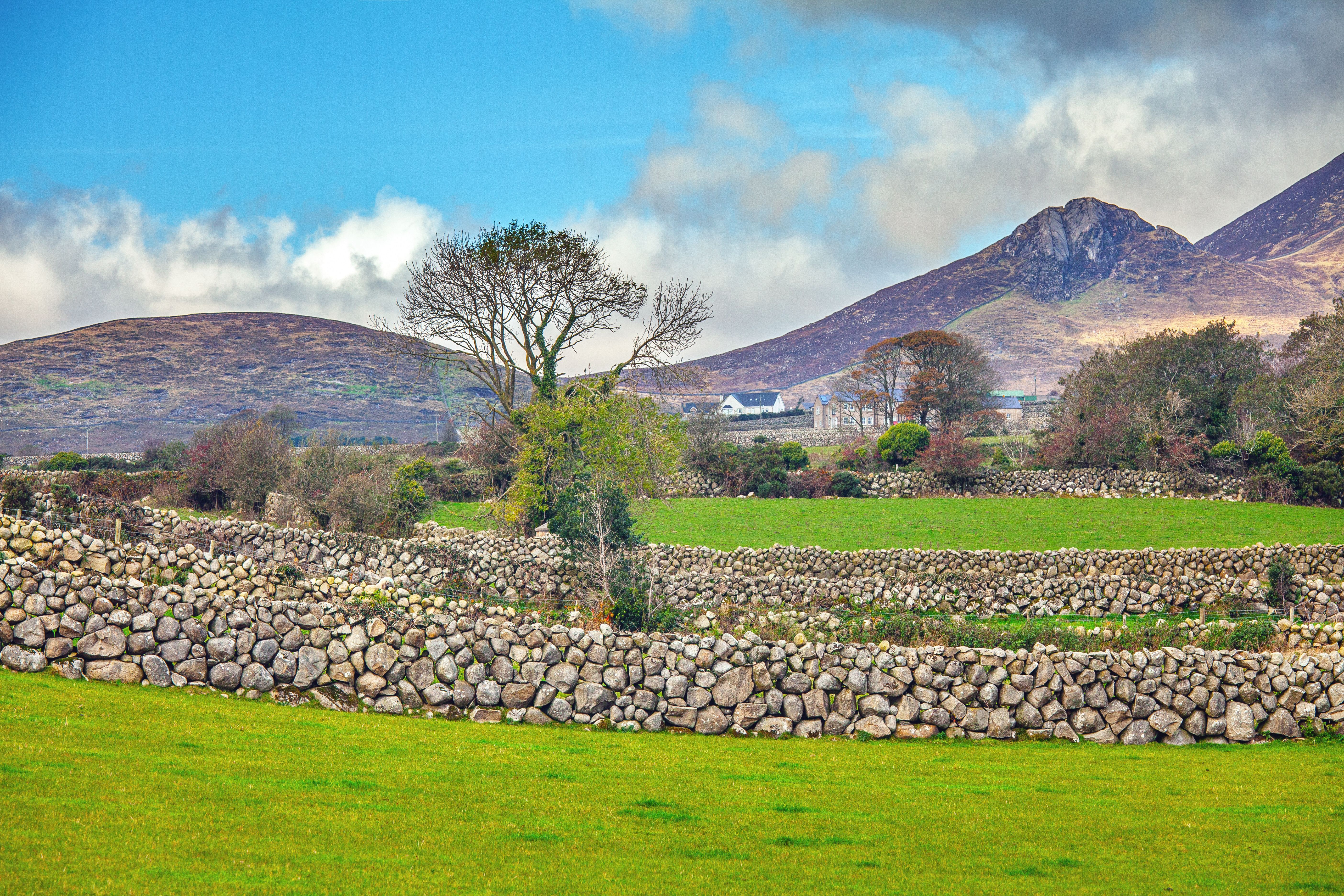 Irish landscape with traditional stone walls and mountains in the distance