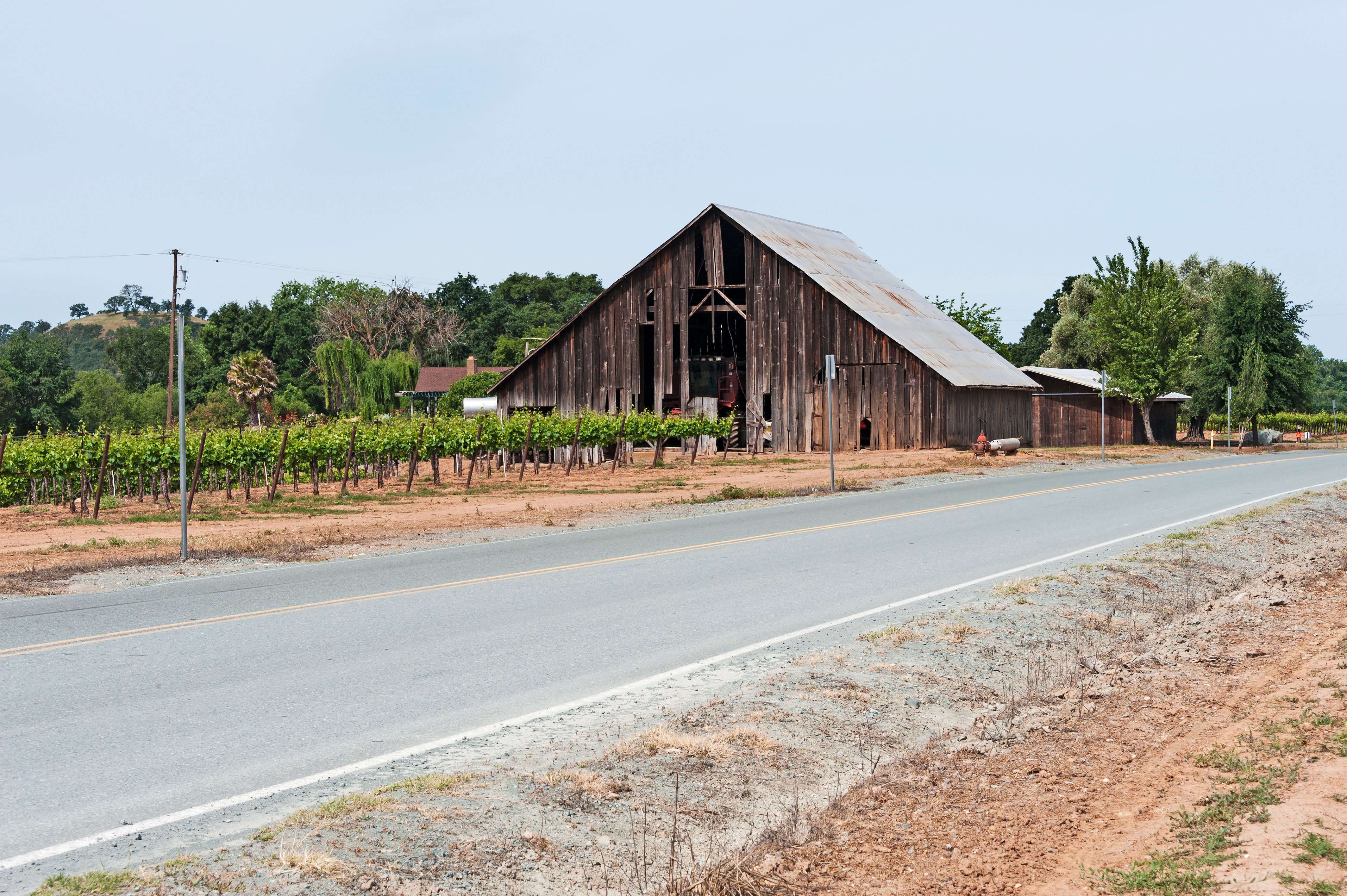 amador county vineyard