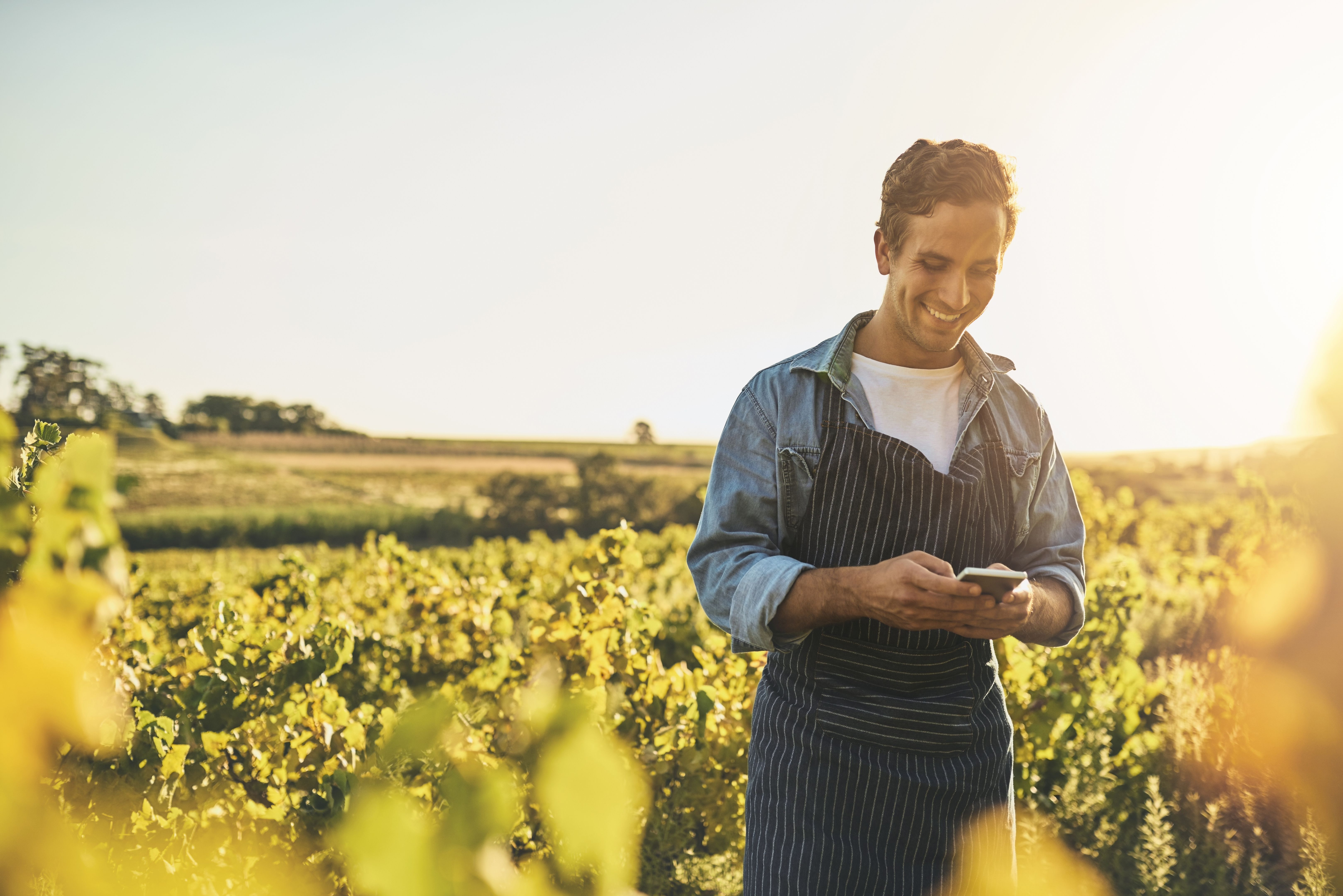 modern farming