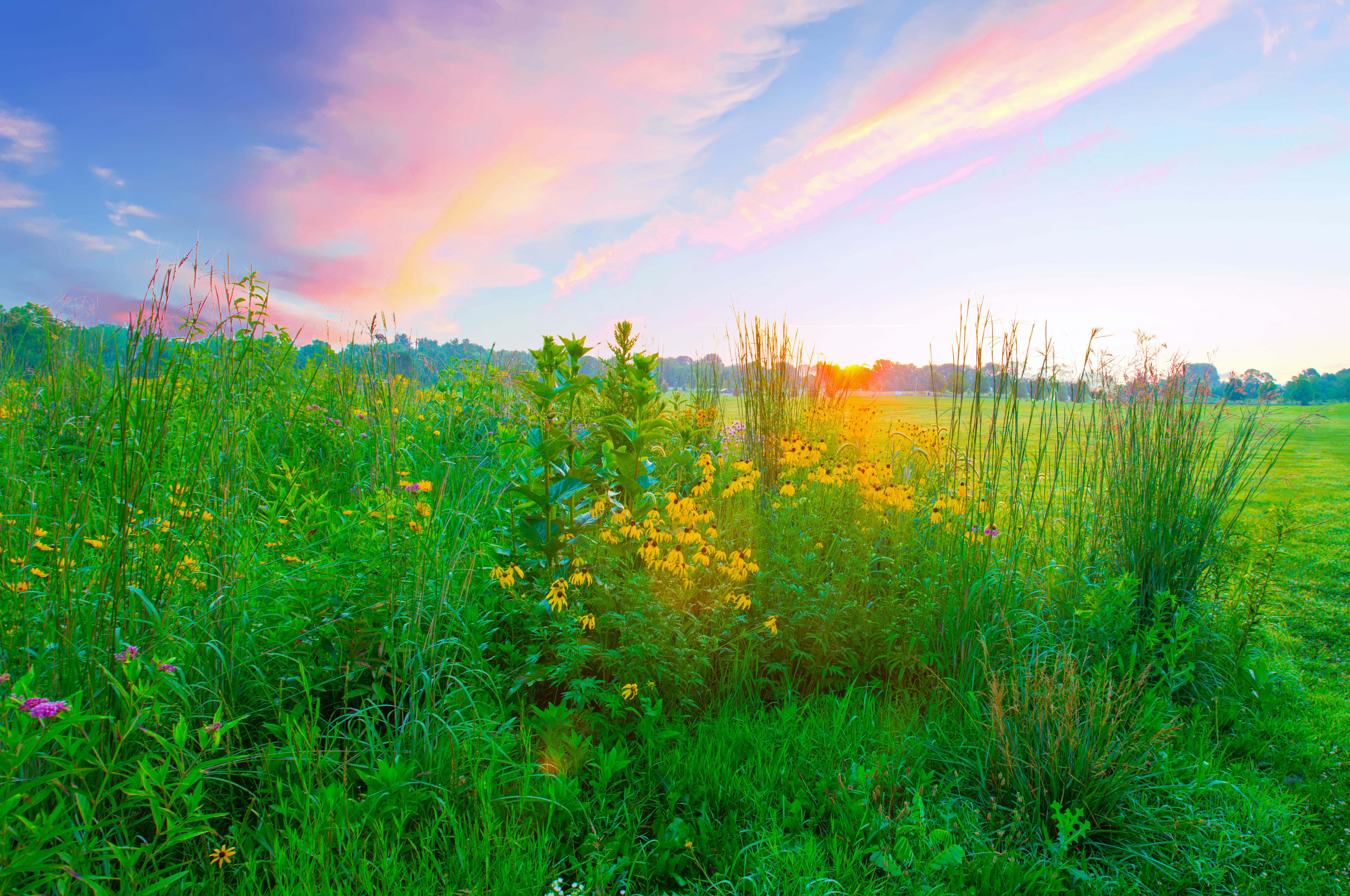 northwest indiana landscape