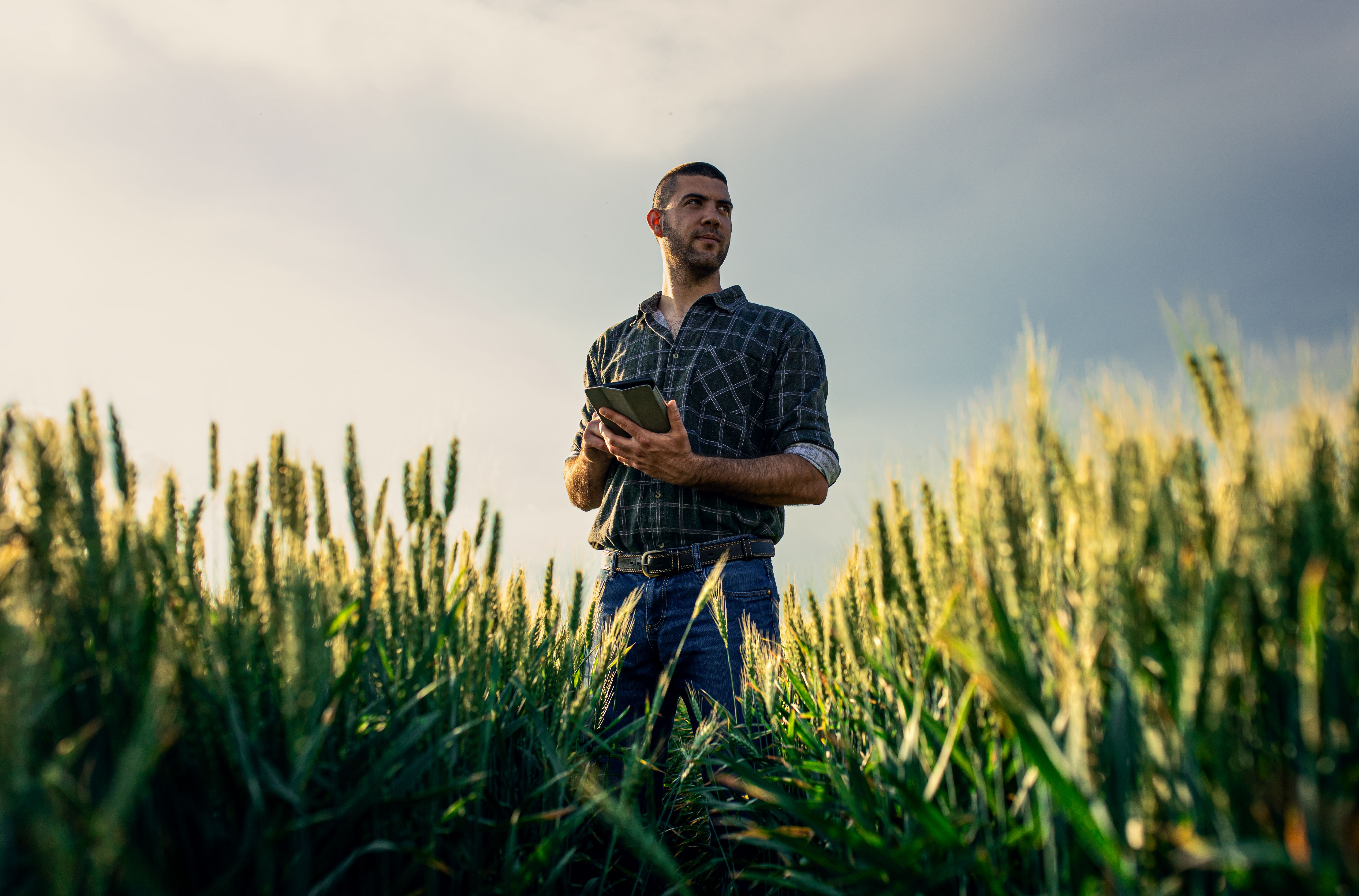 sustainable agriculture