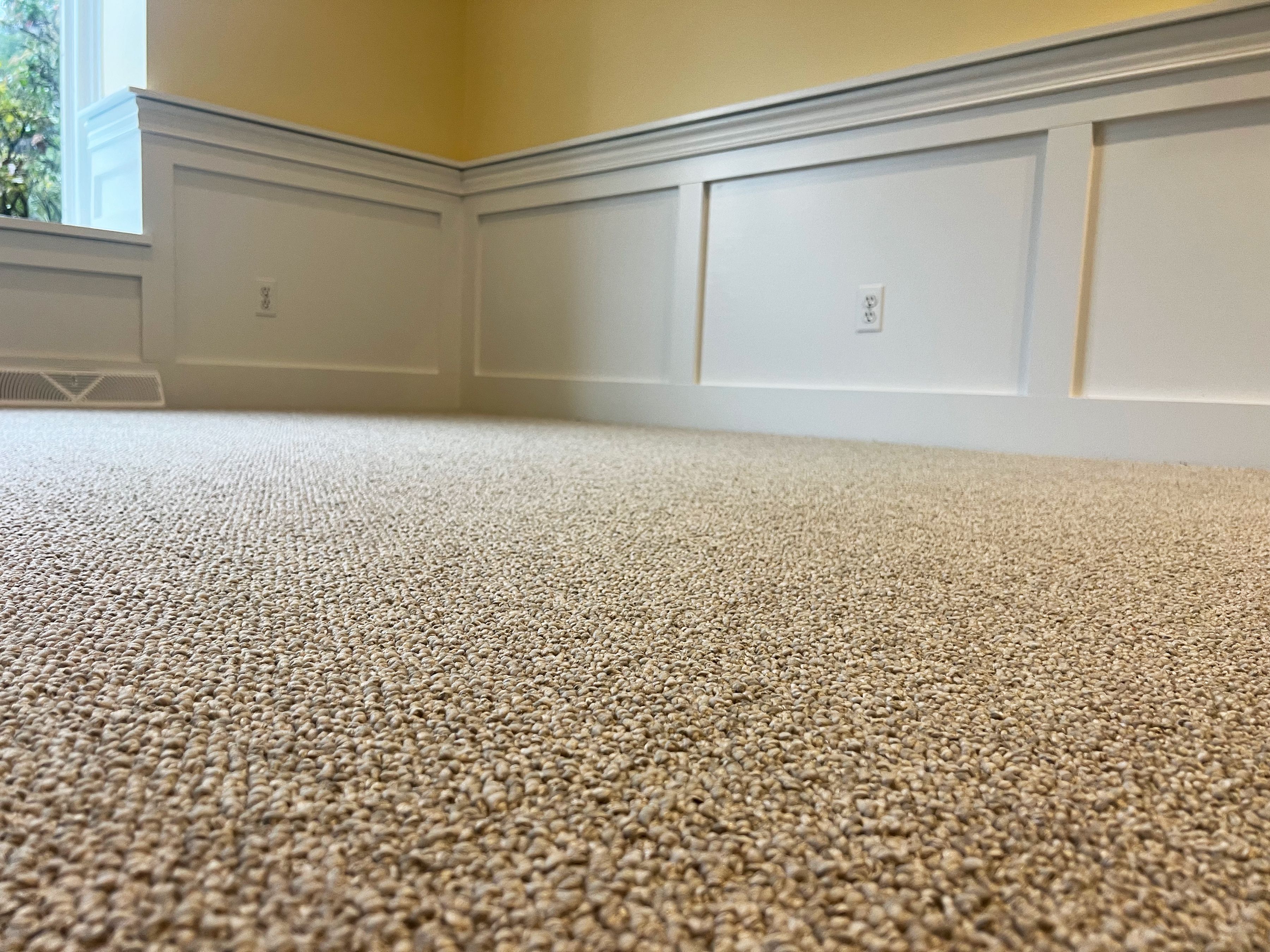 carpet flooring
