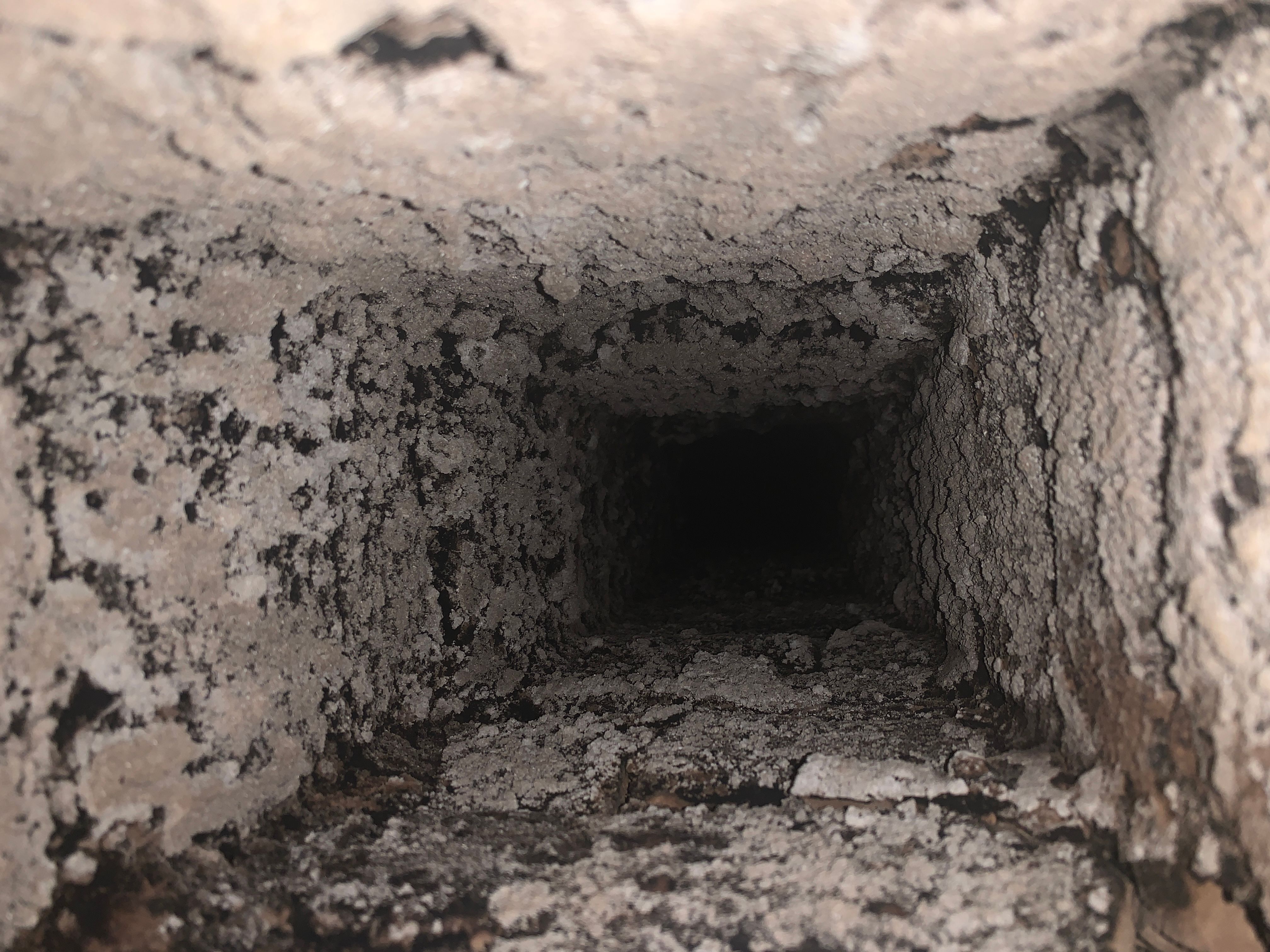Chimney interior inspection