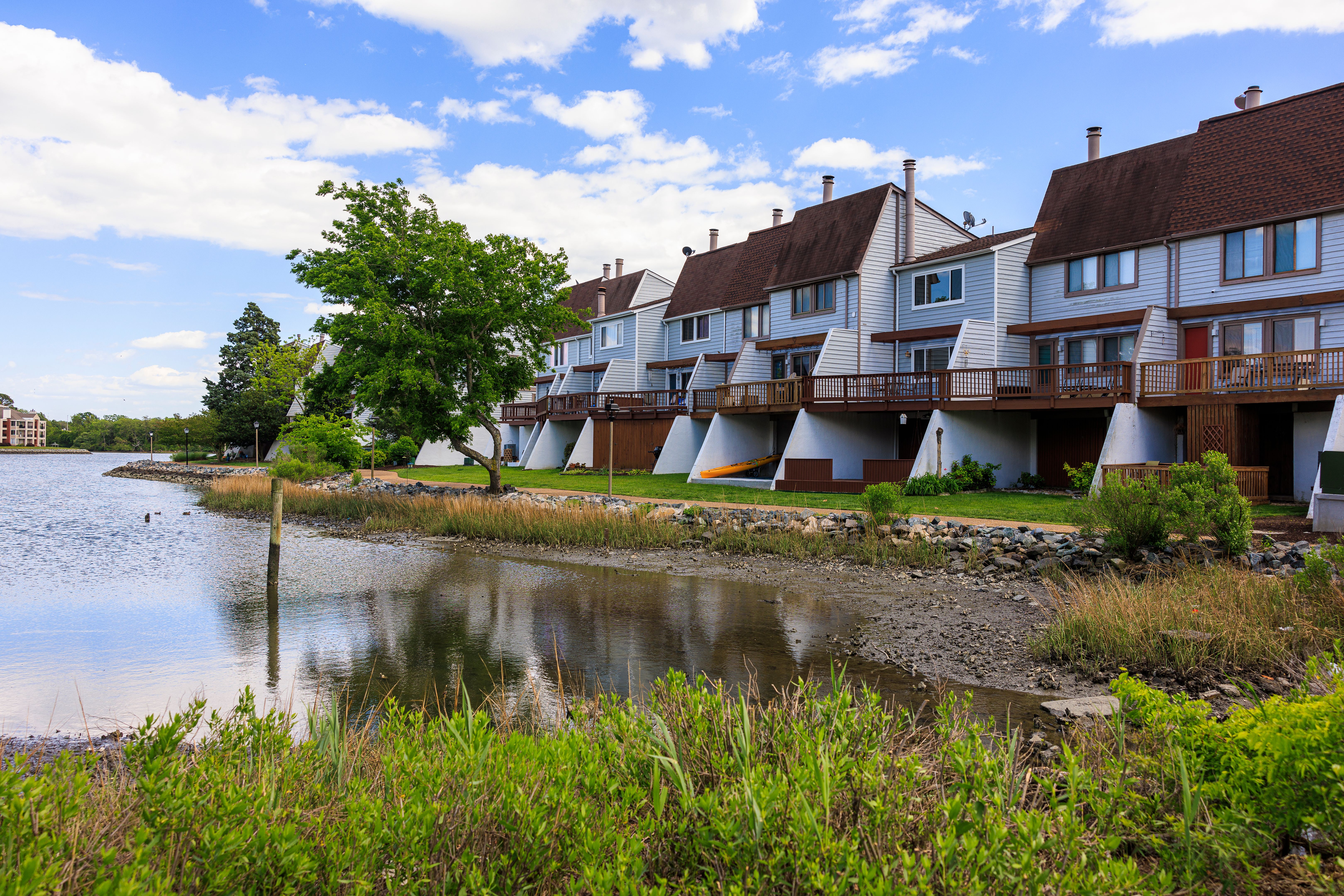 hampton community event