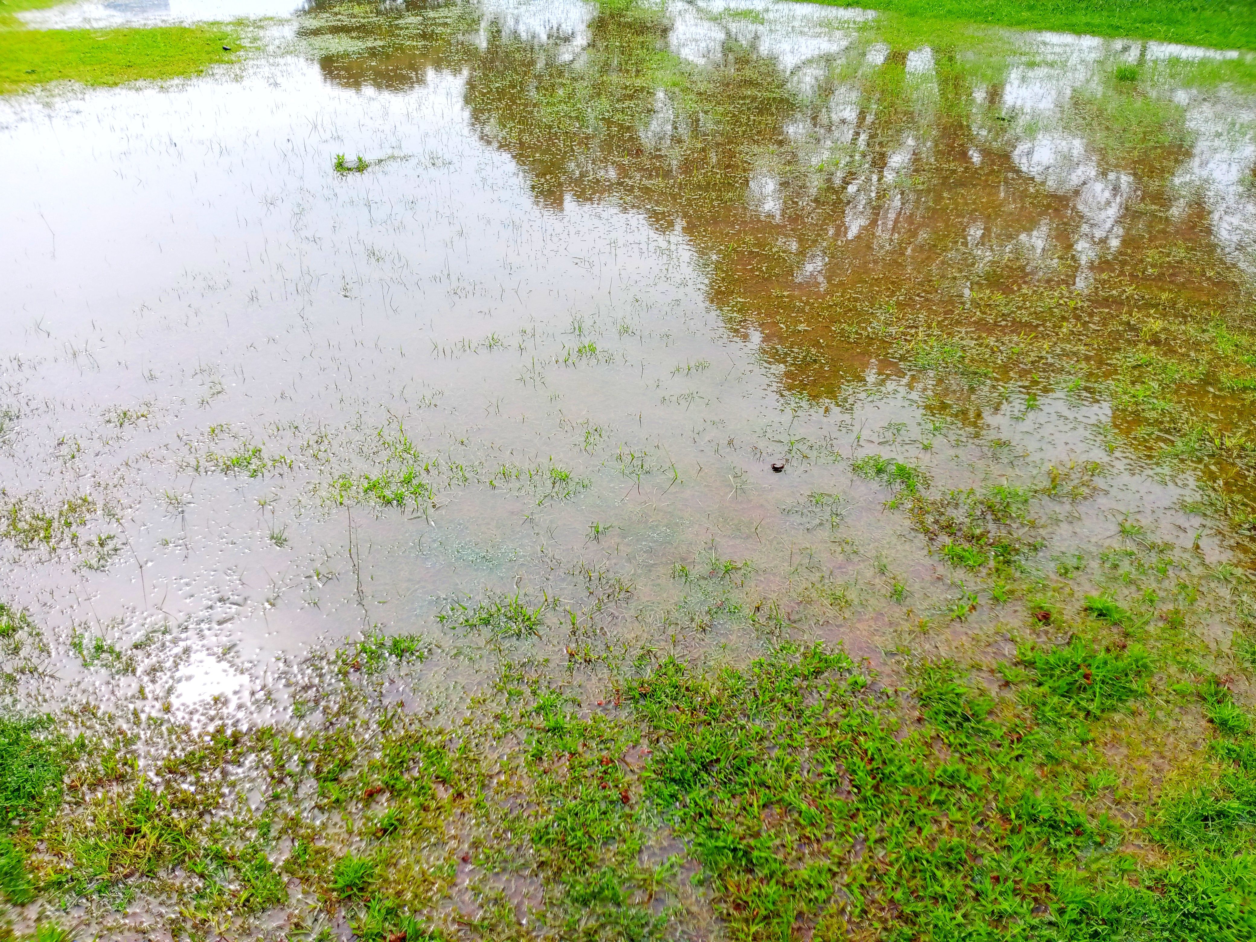 flooded yard
