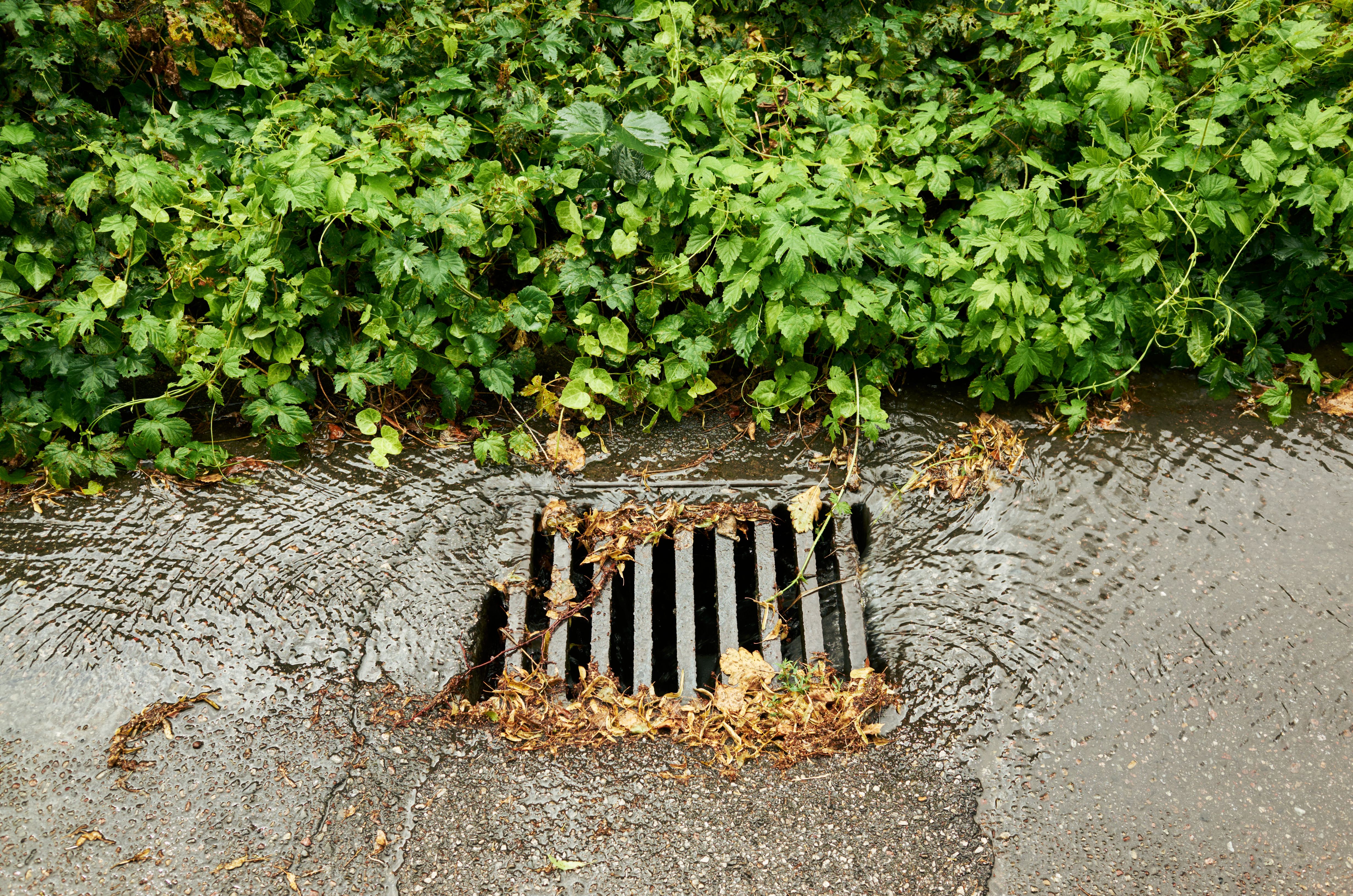 storm drain