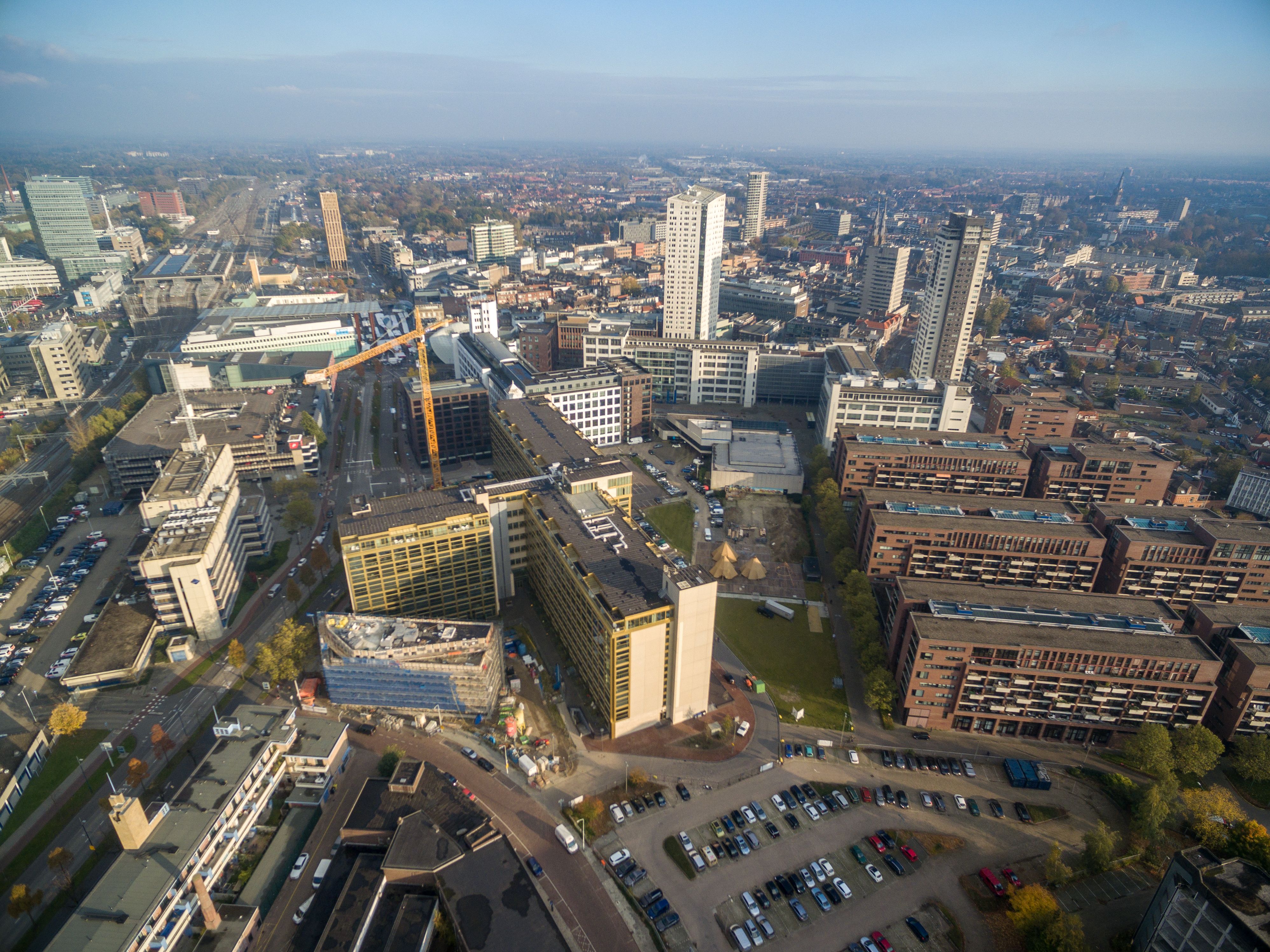 local consultancy Eindhoven