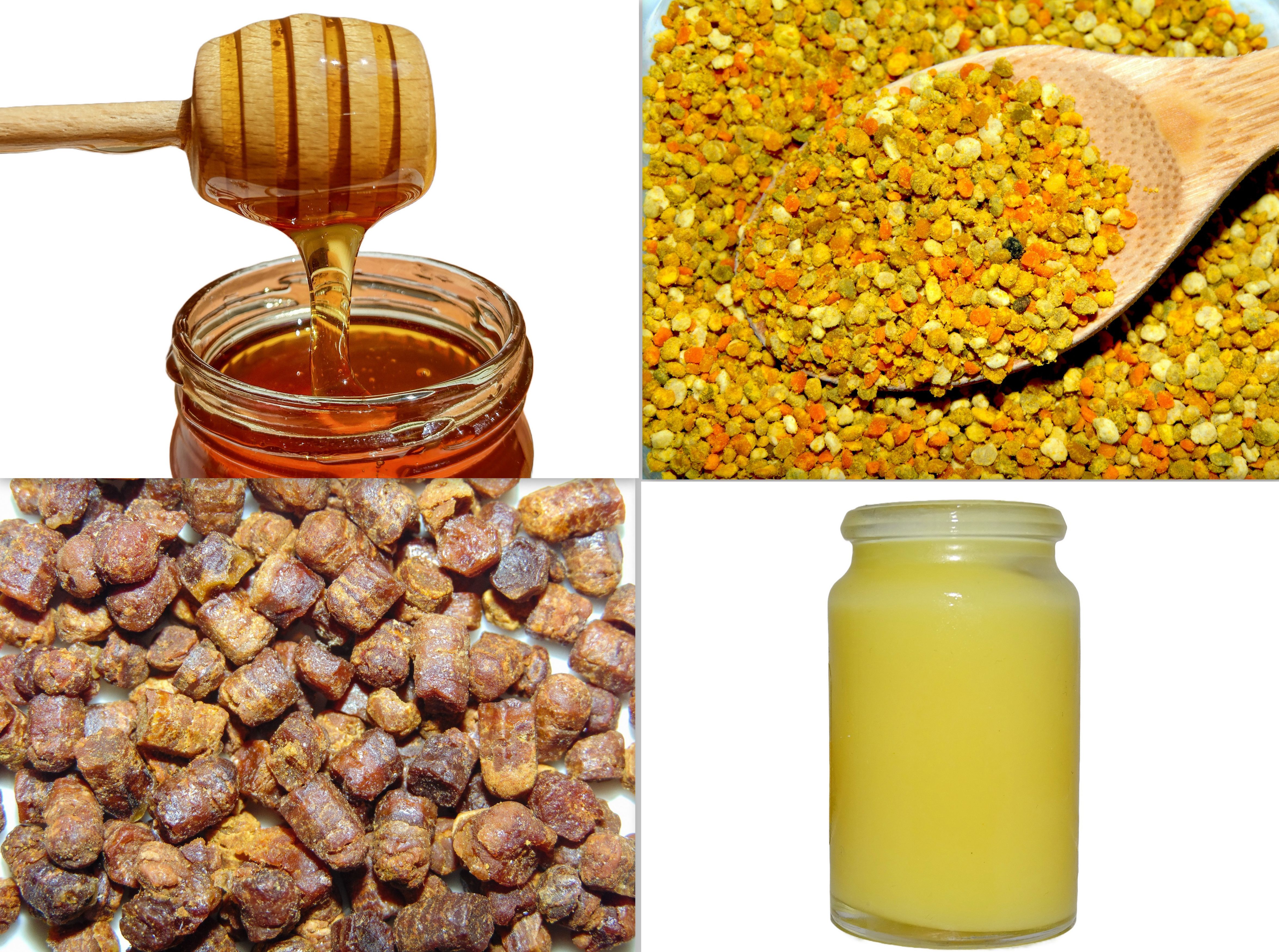 Products of the beehive: Honey, pollen, bee bread, royal jelly