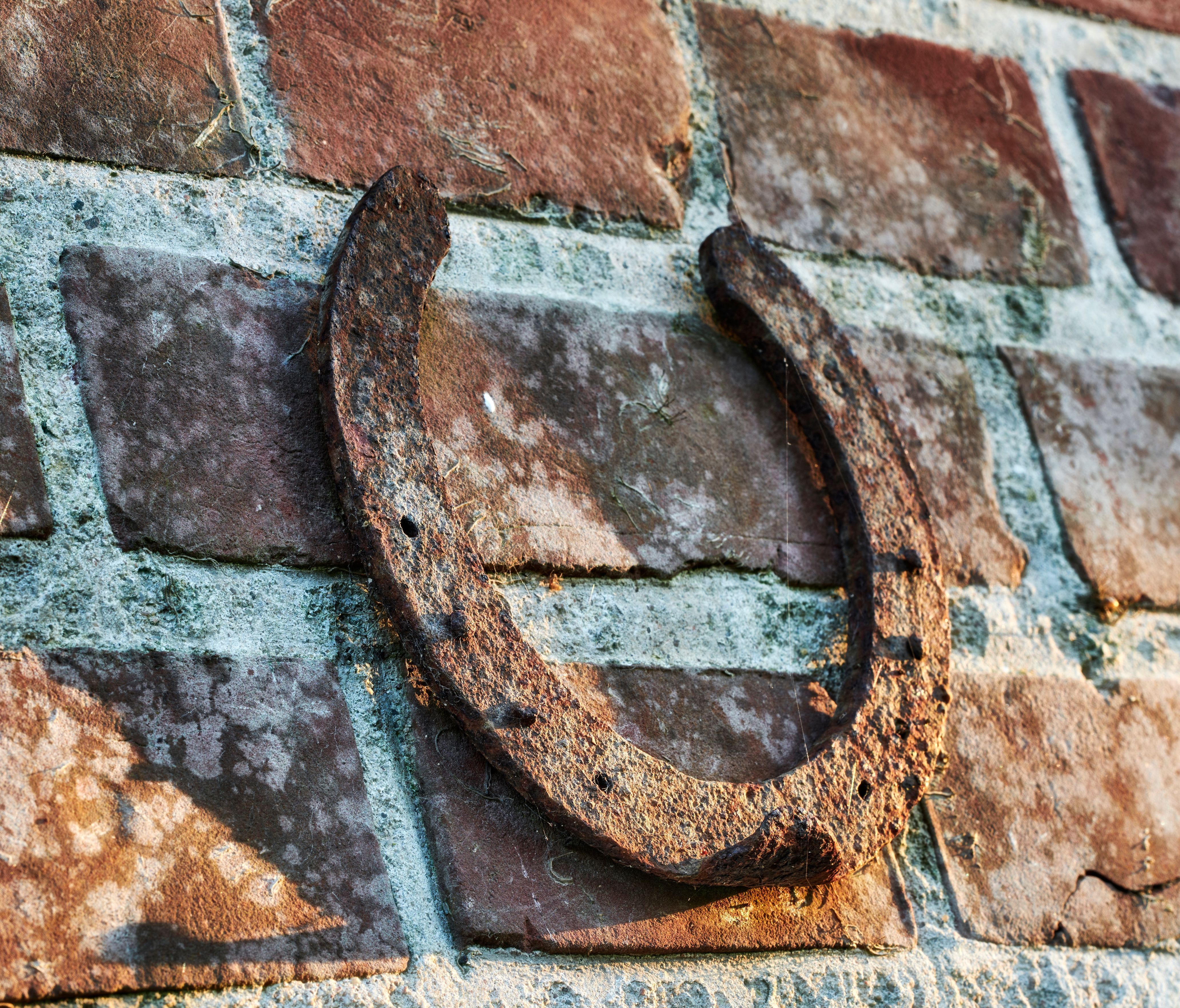 hardscaping elements