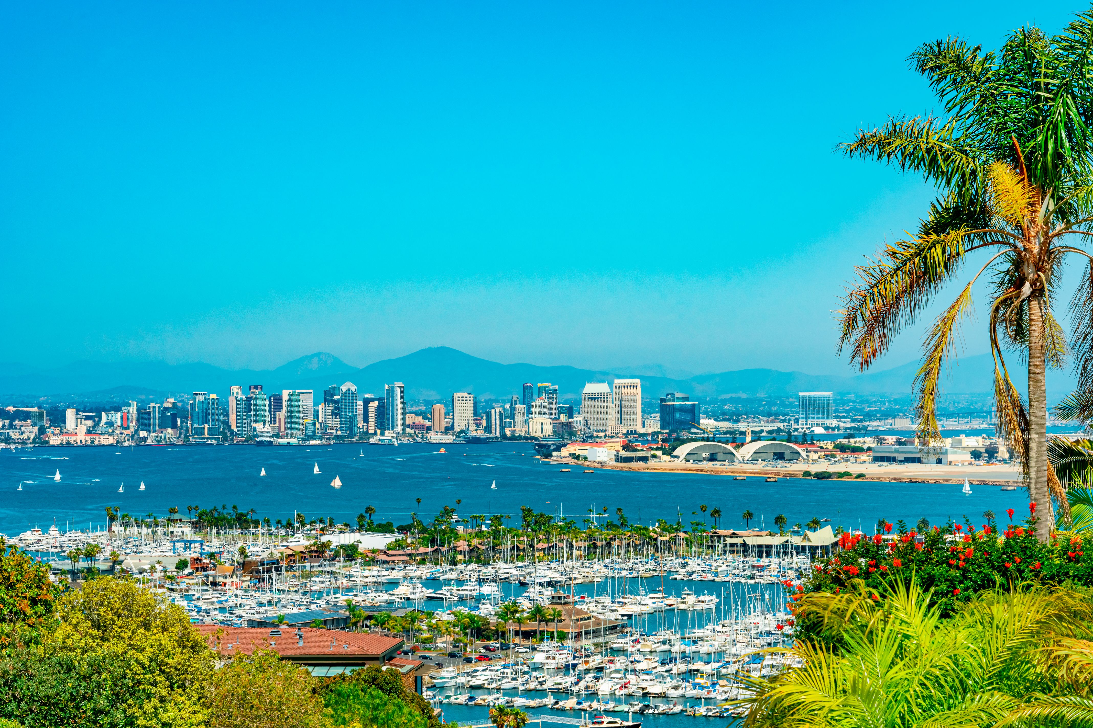san diego landscape