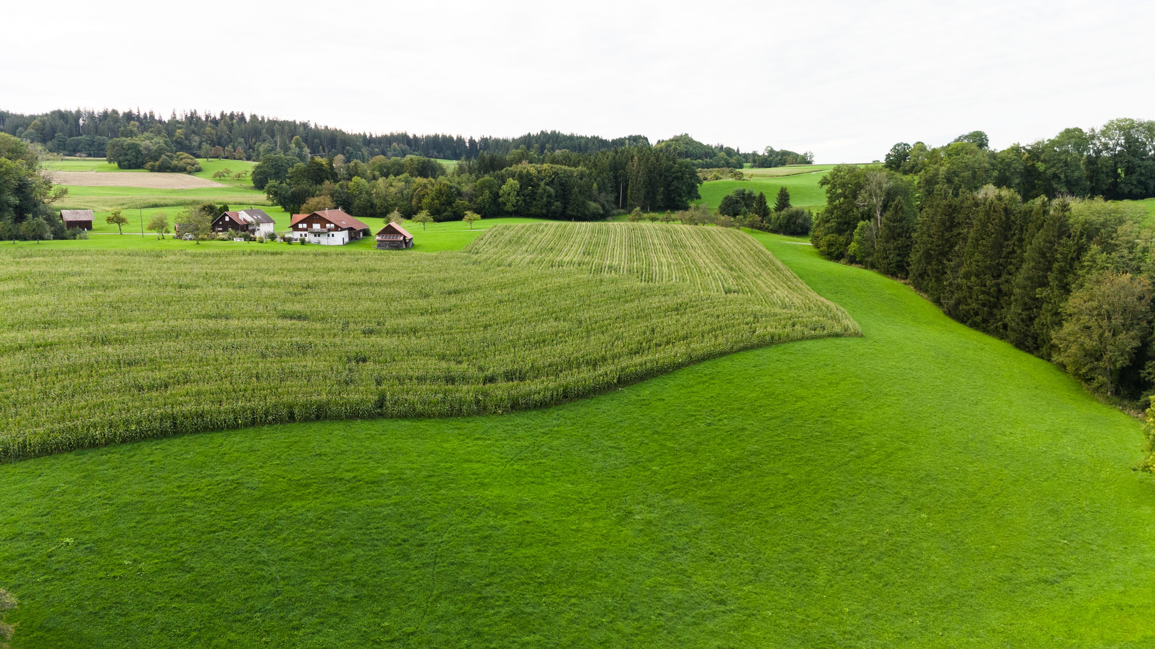 bavarian landscape