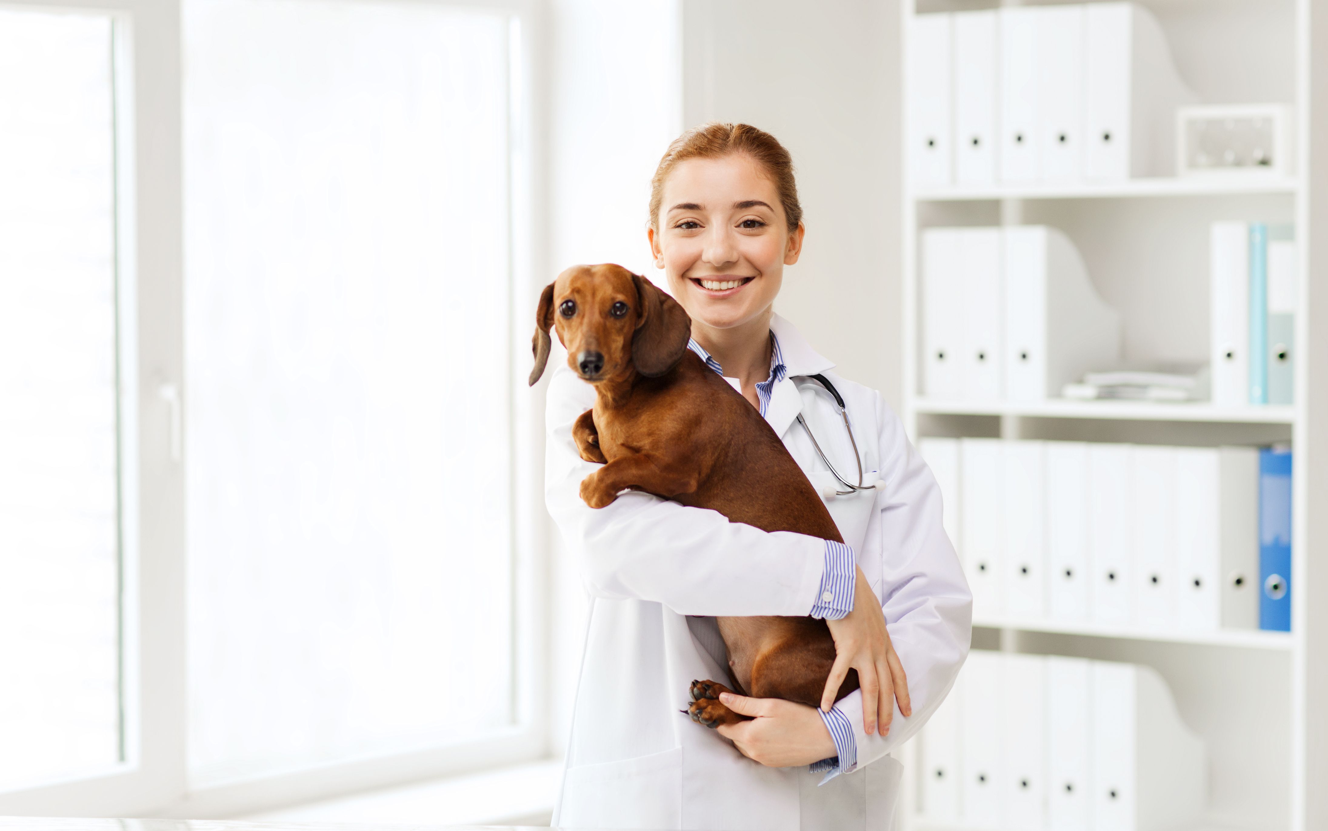 pet health care