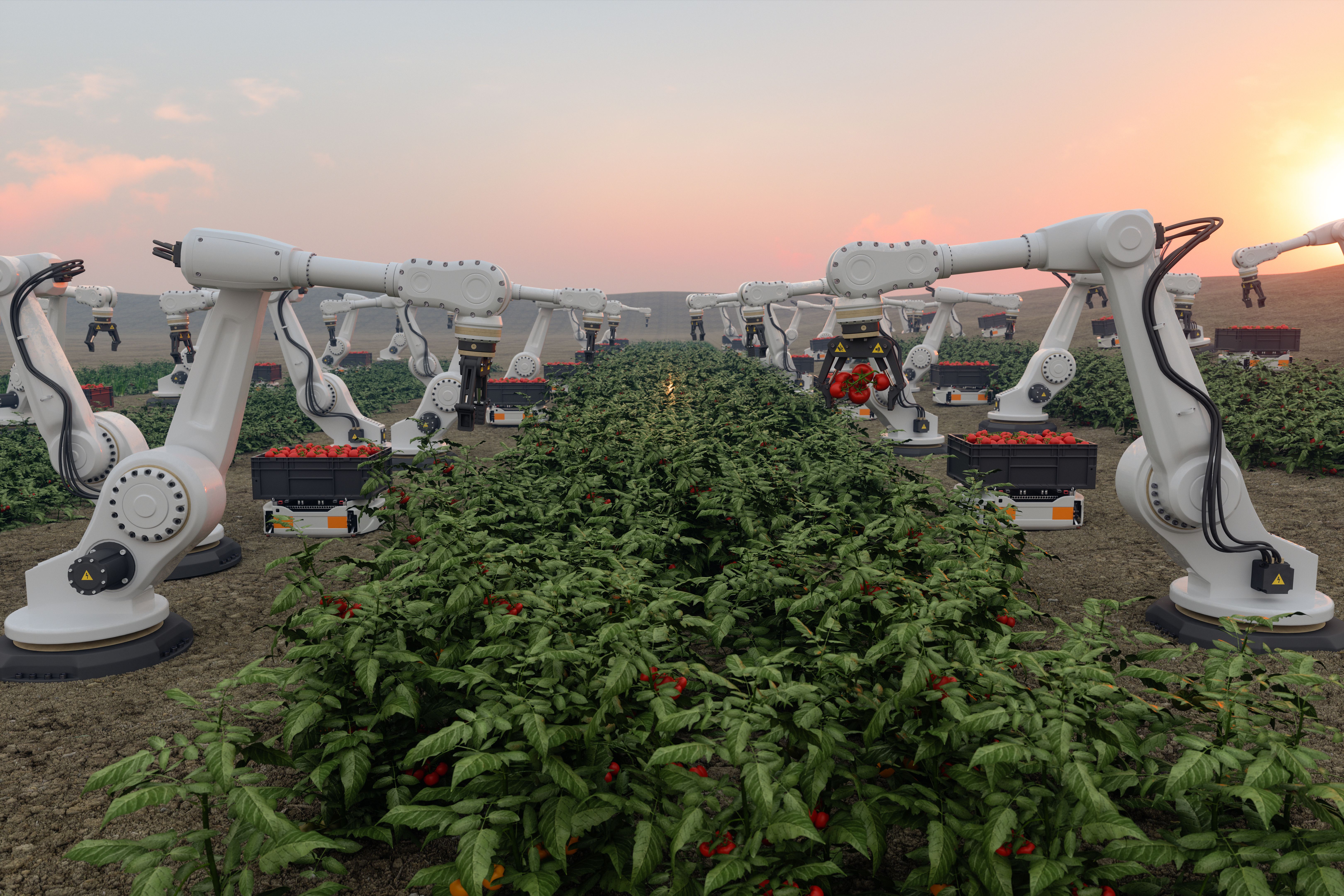 precision farming