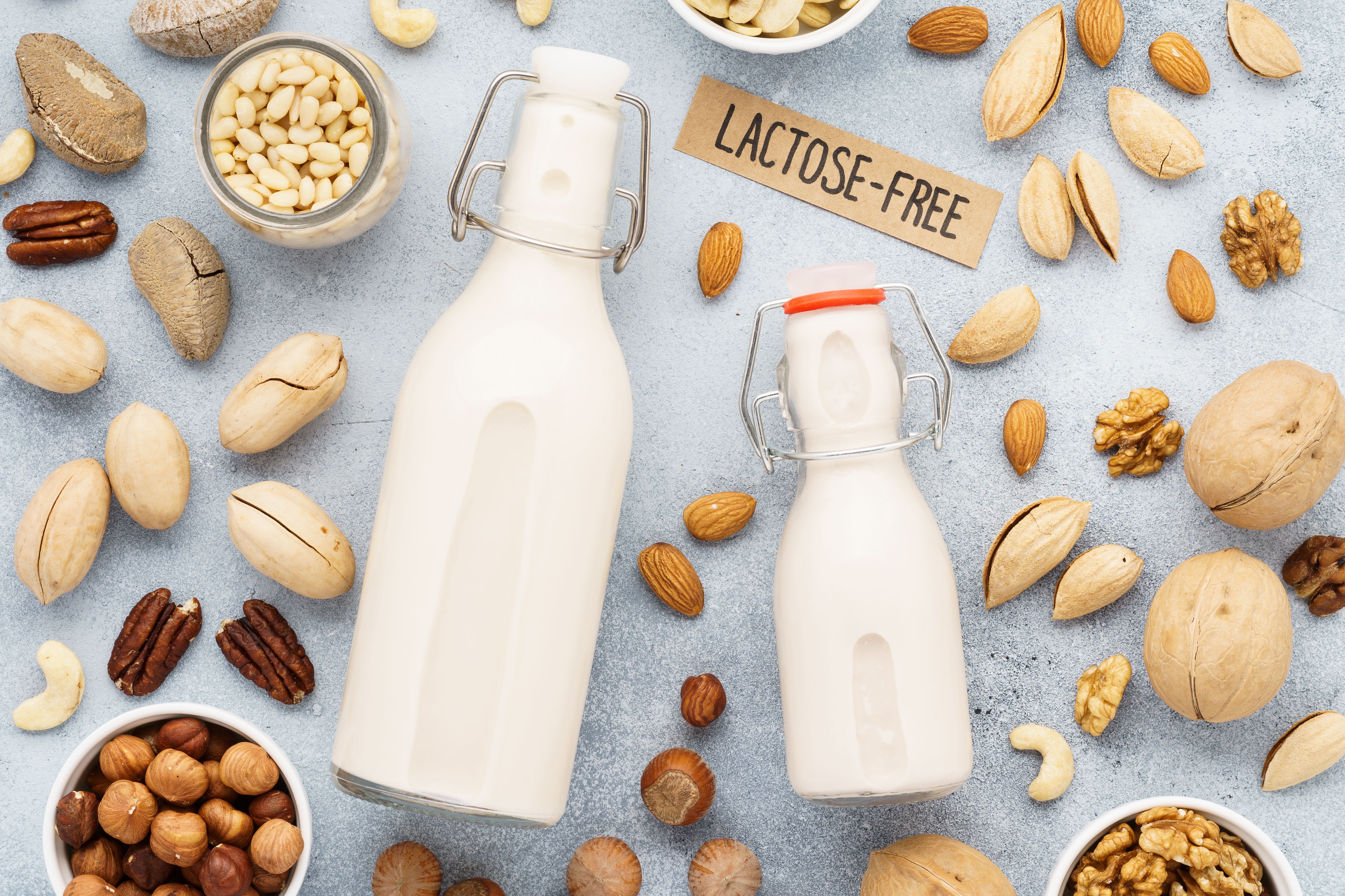 lactose free dairy