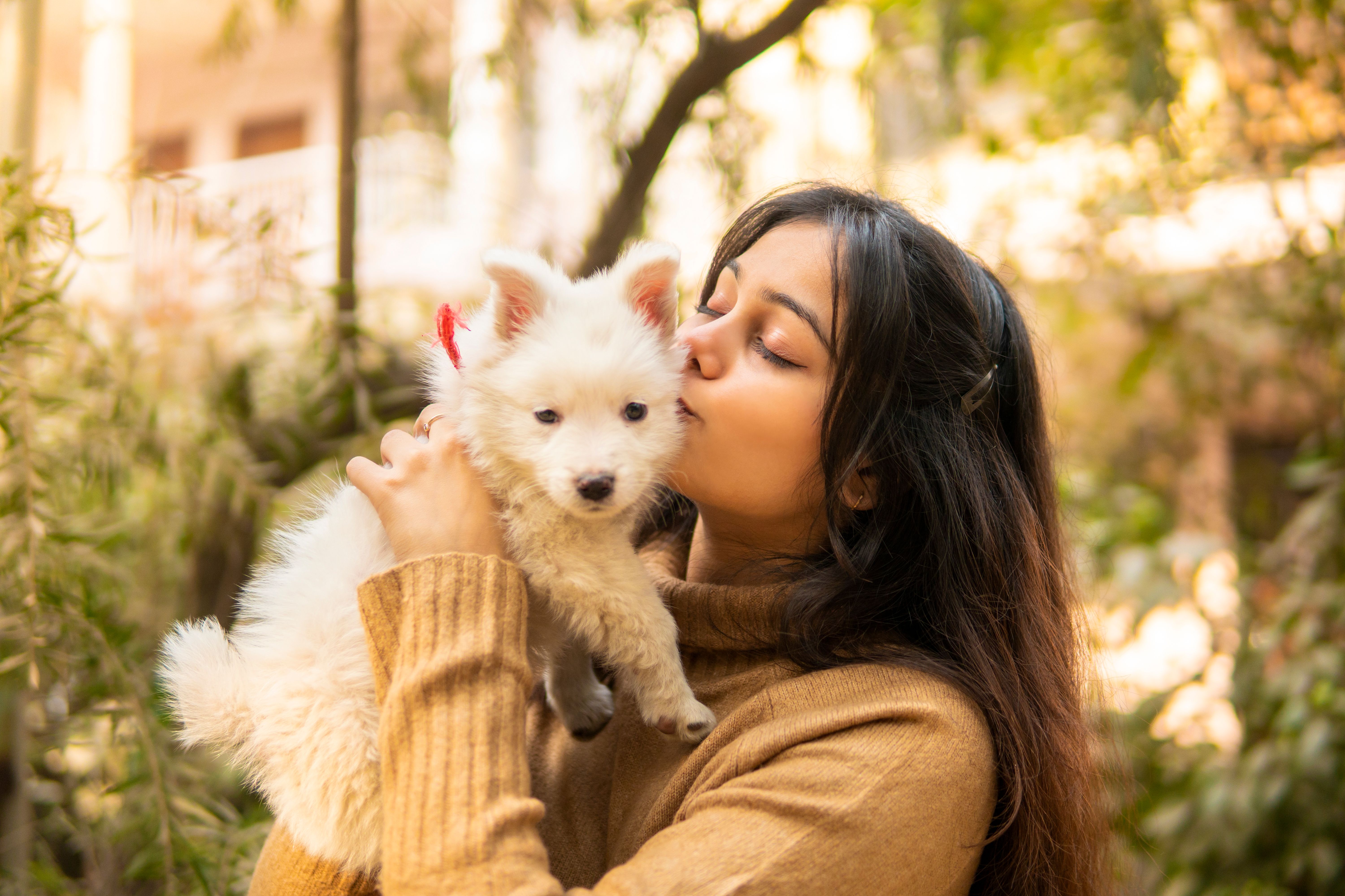 happy owner puppy
