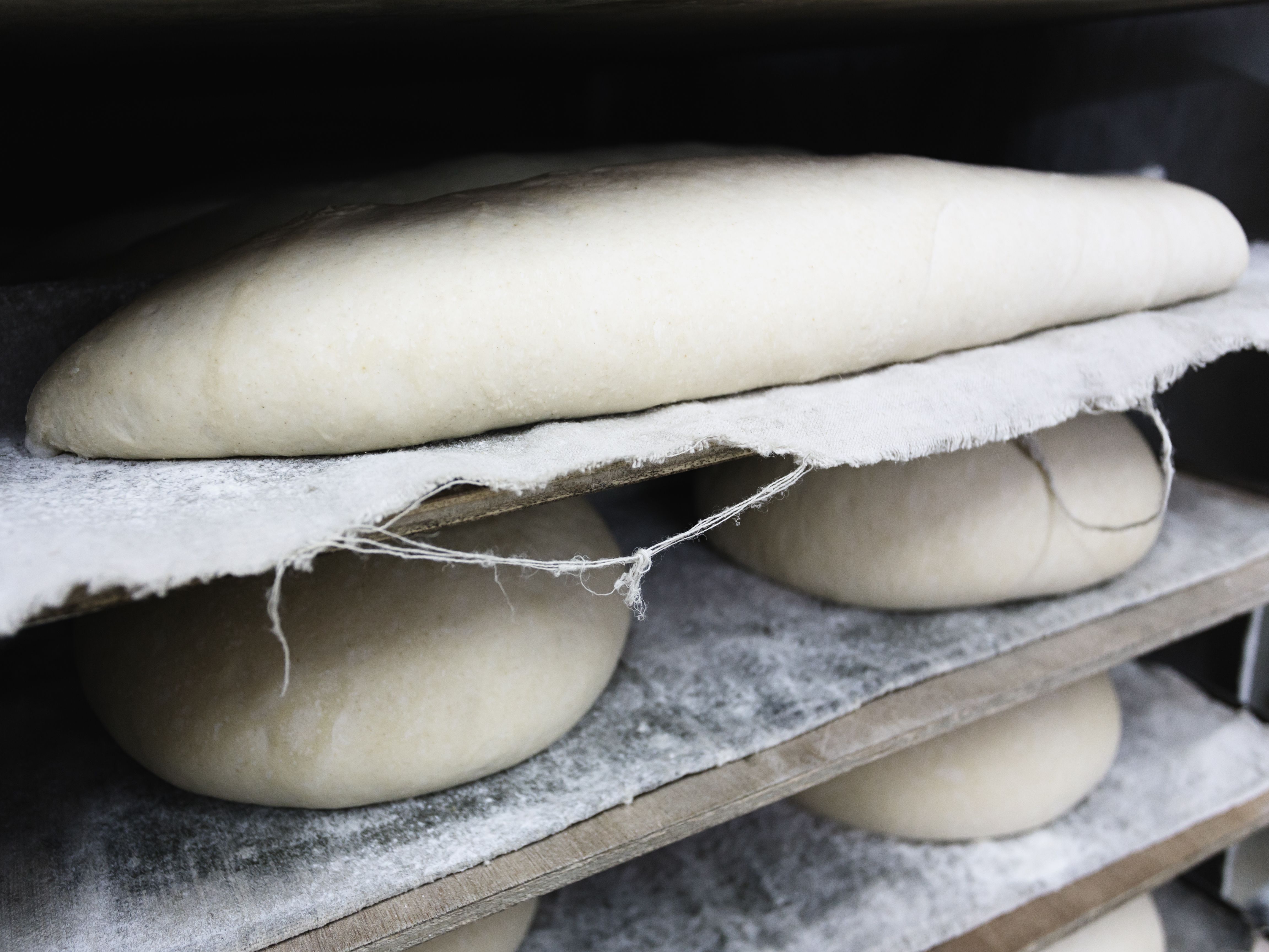 resting dough