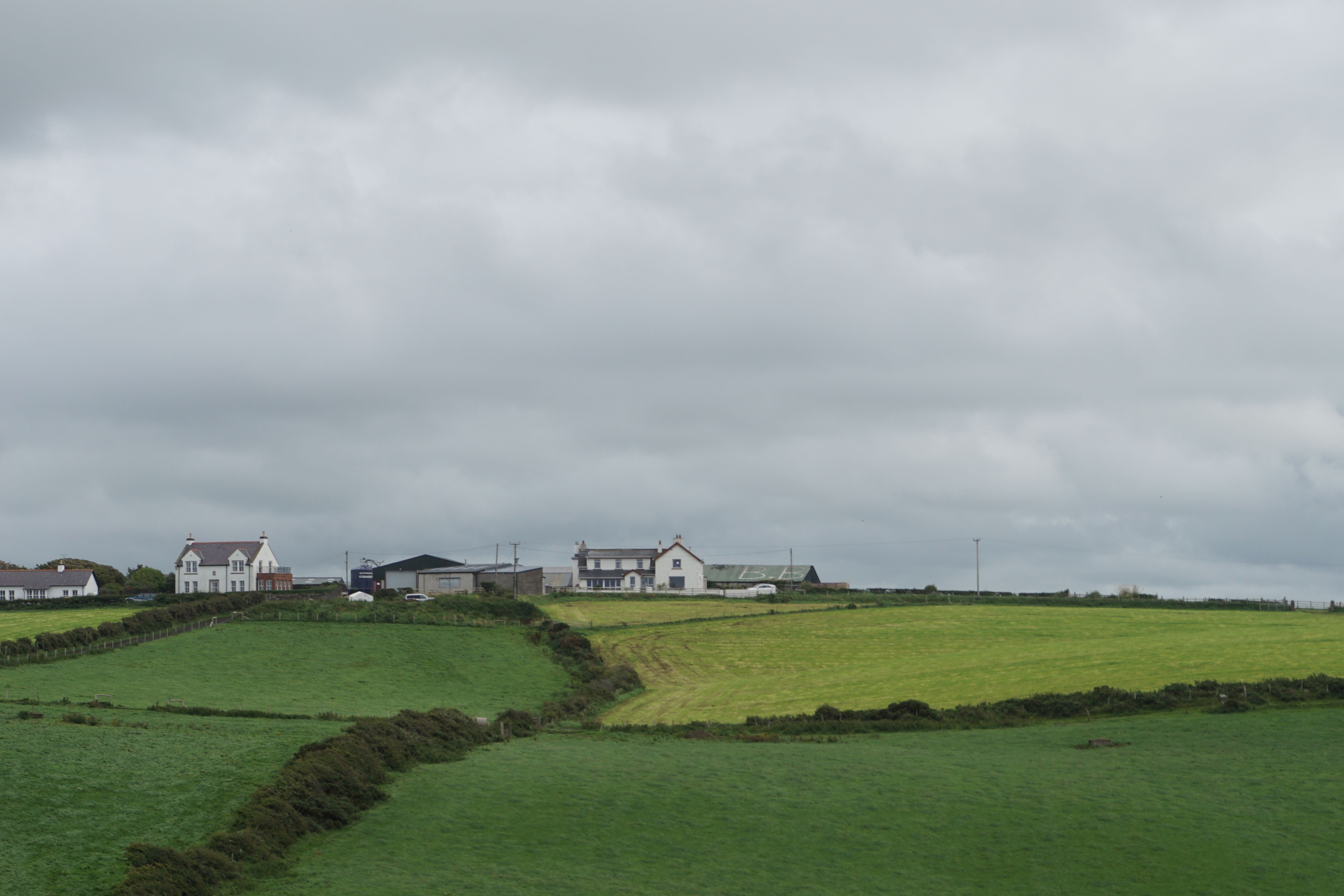 Patchwork Fields in the Ireland Countryside