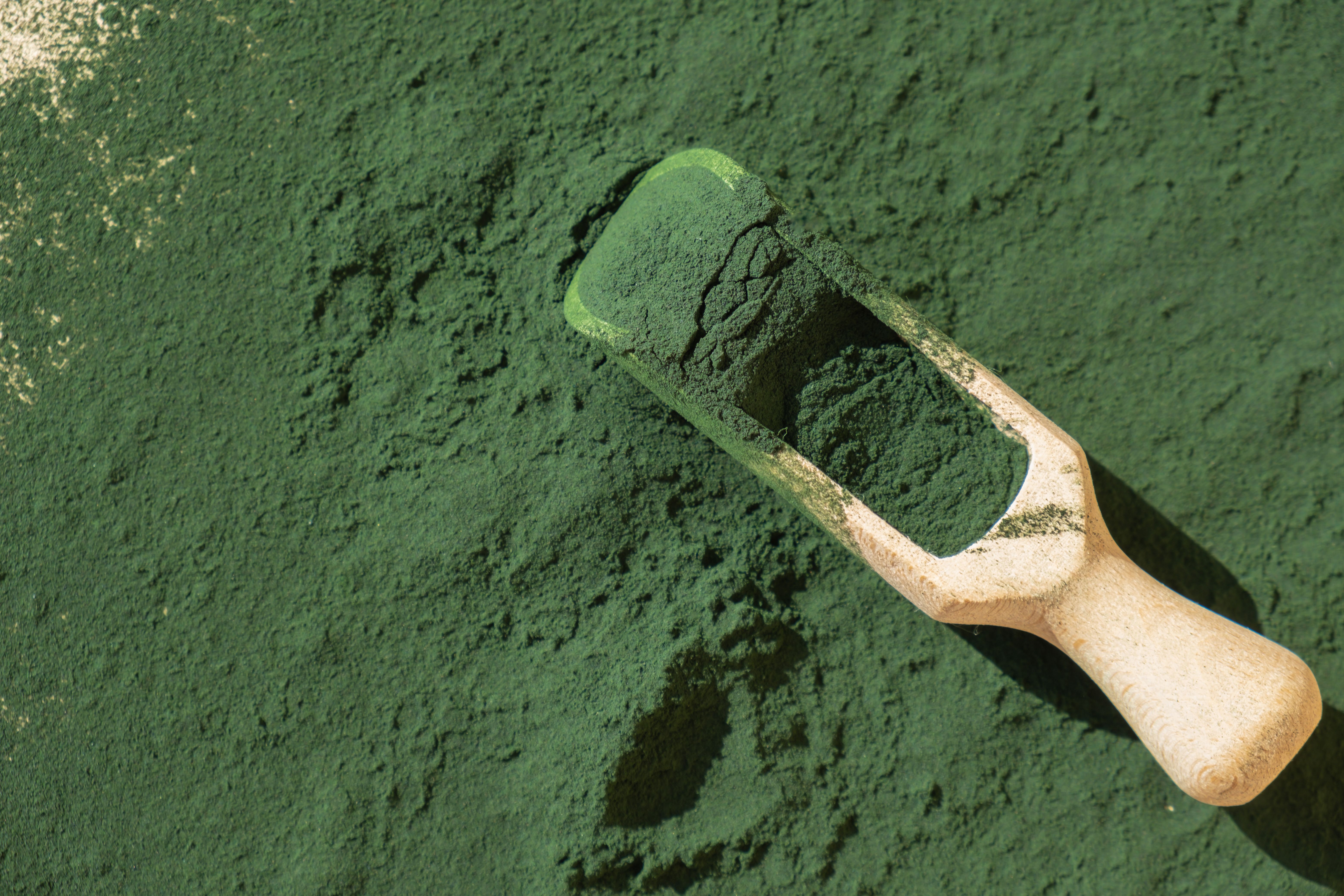 nutritional seaweed