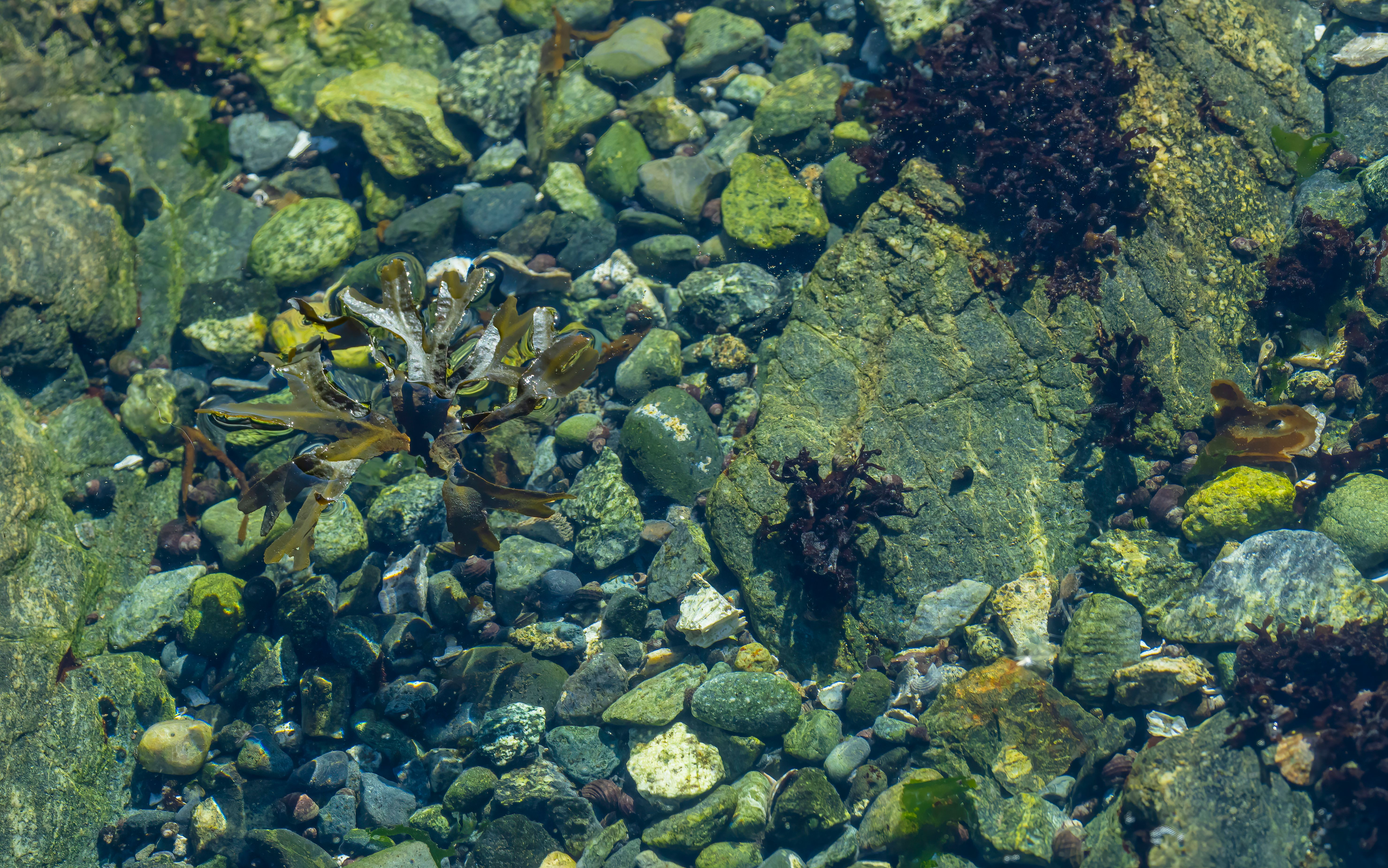 benefits of weight loss