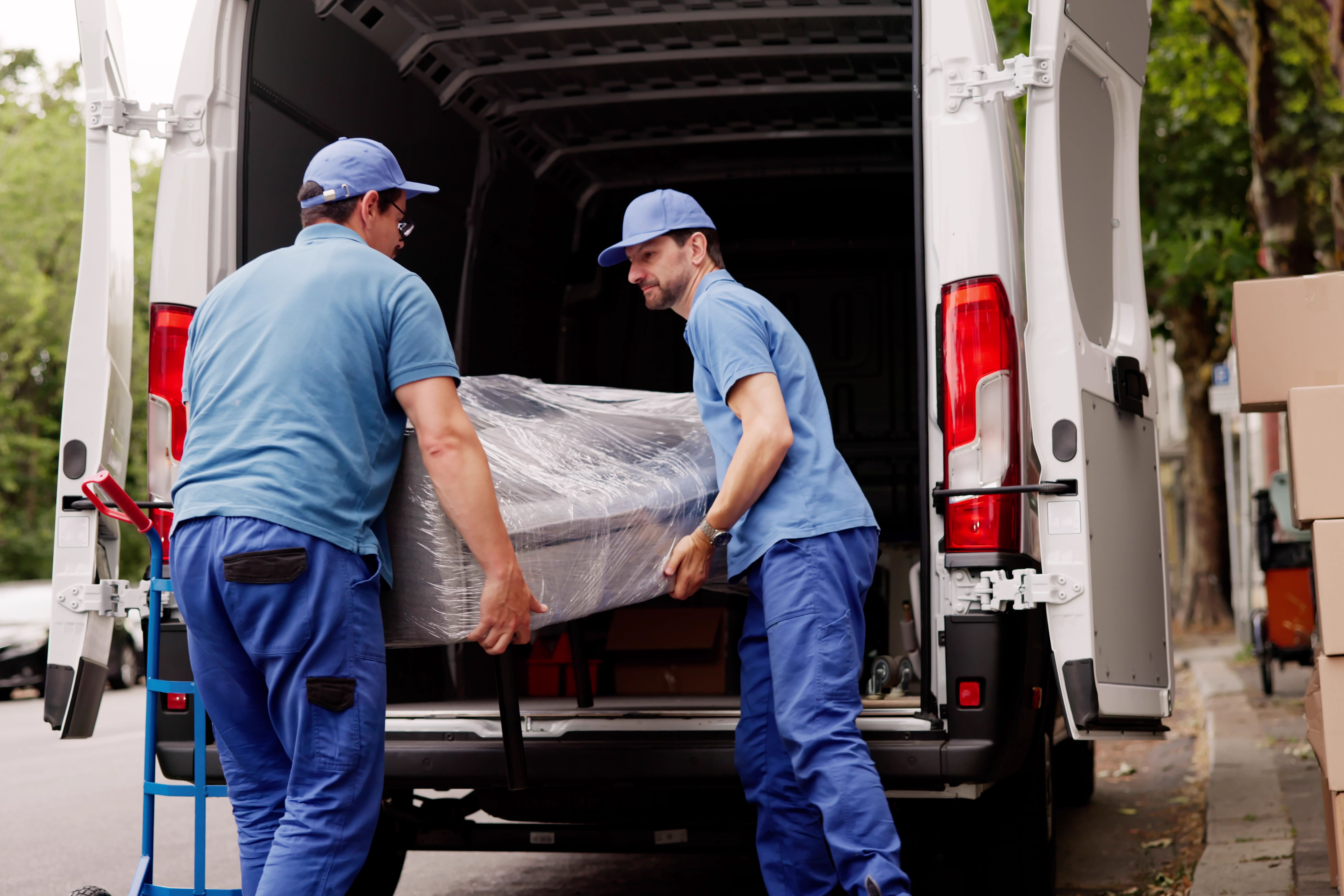 professional movers