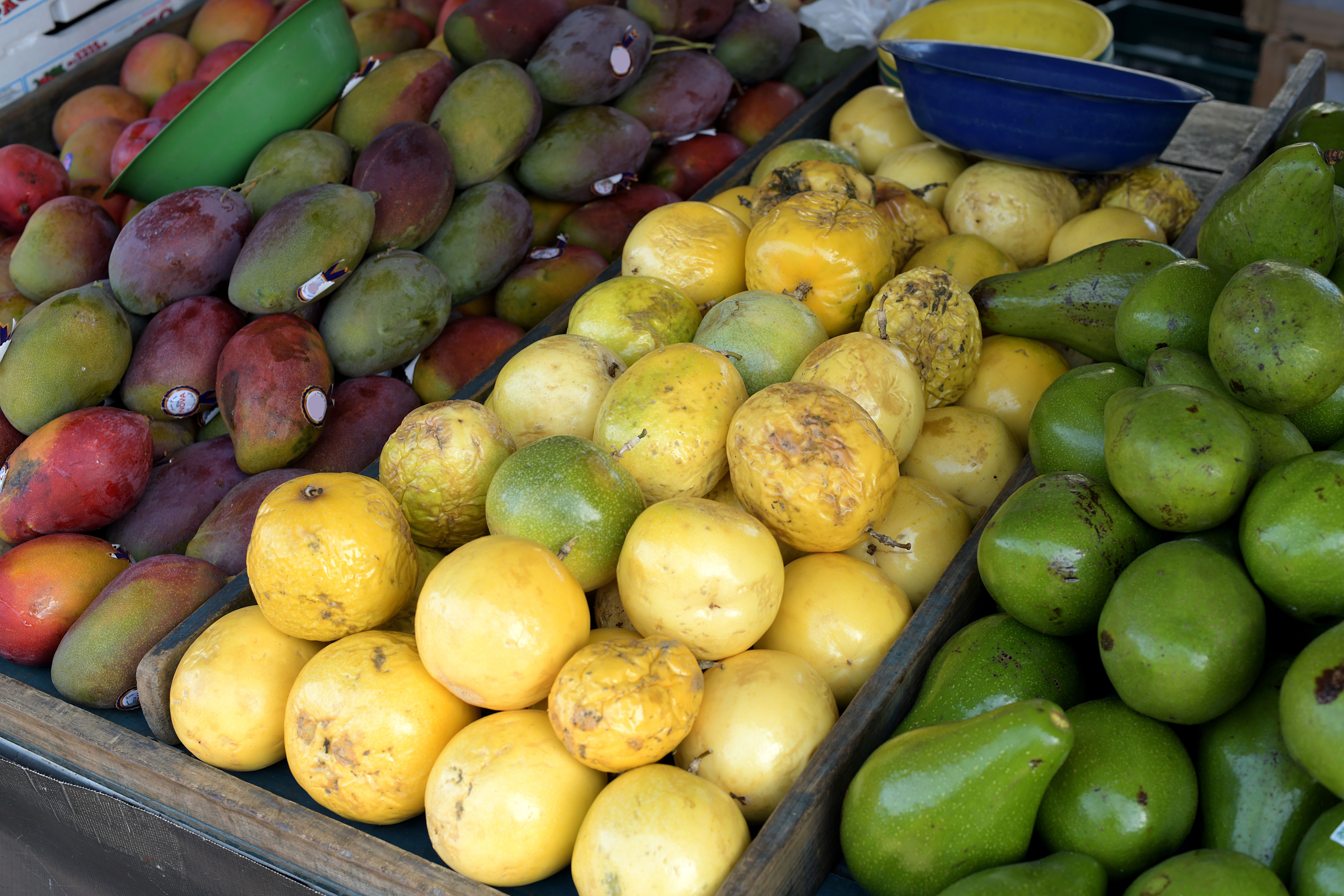 brazil fruit export
