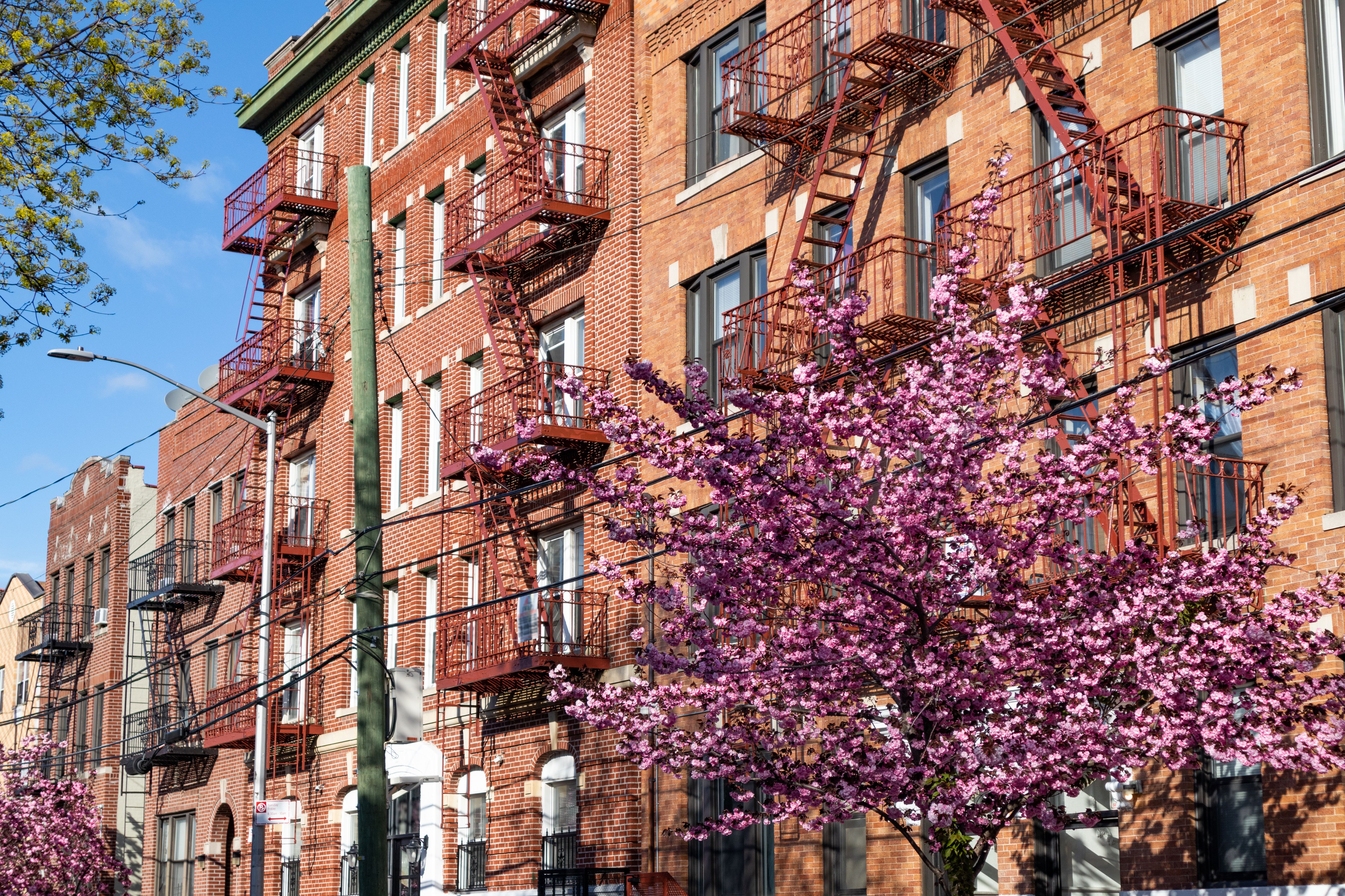 queens neighborhood