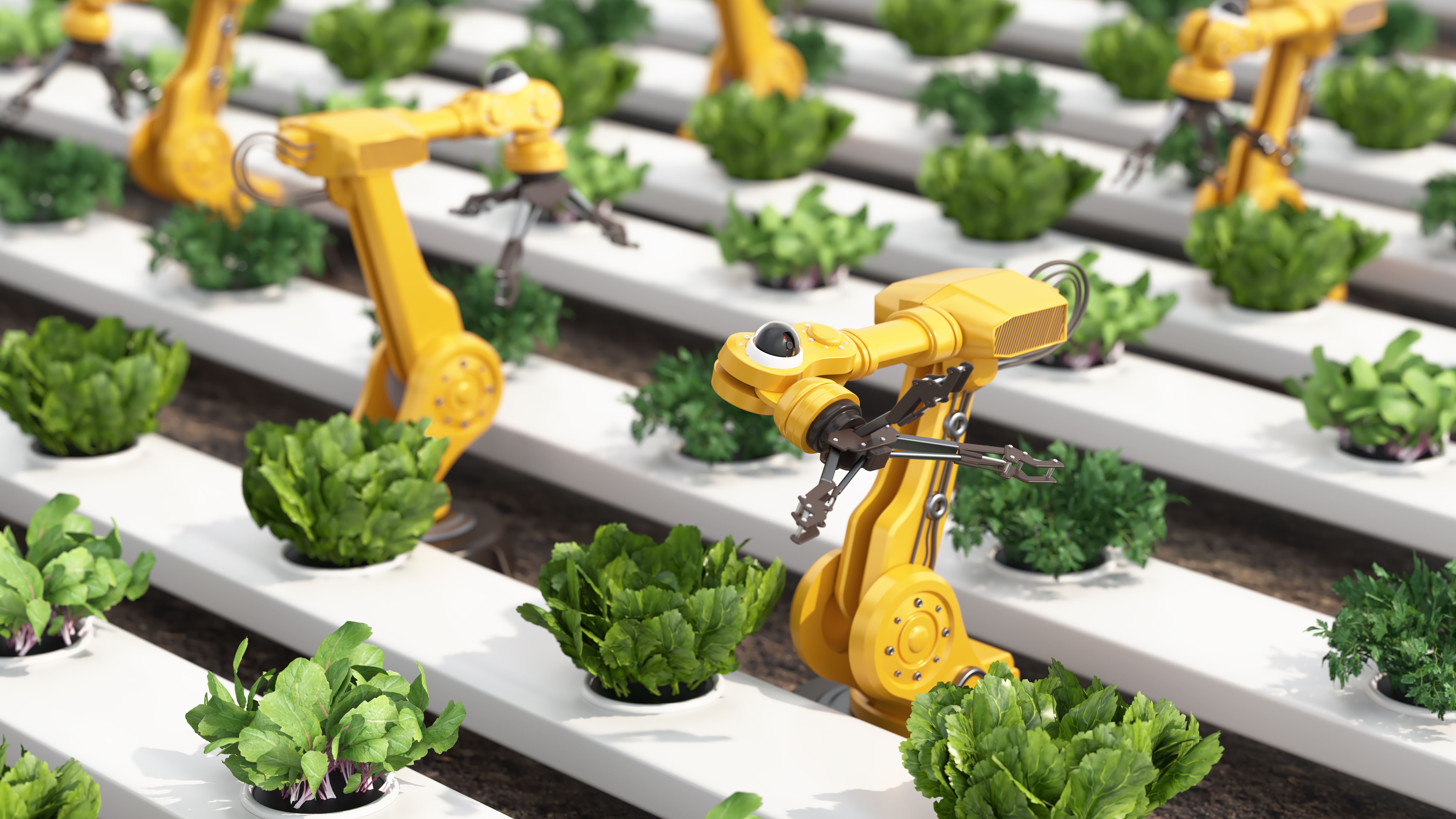 smart garden technology