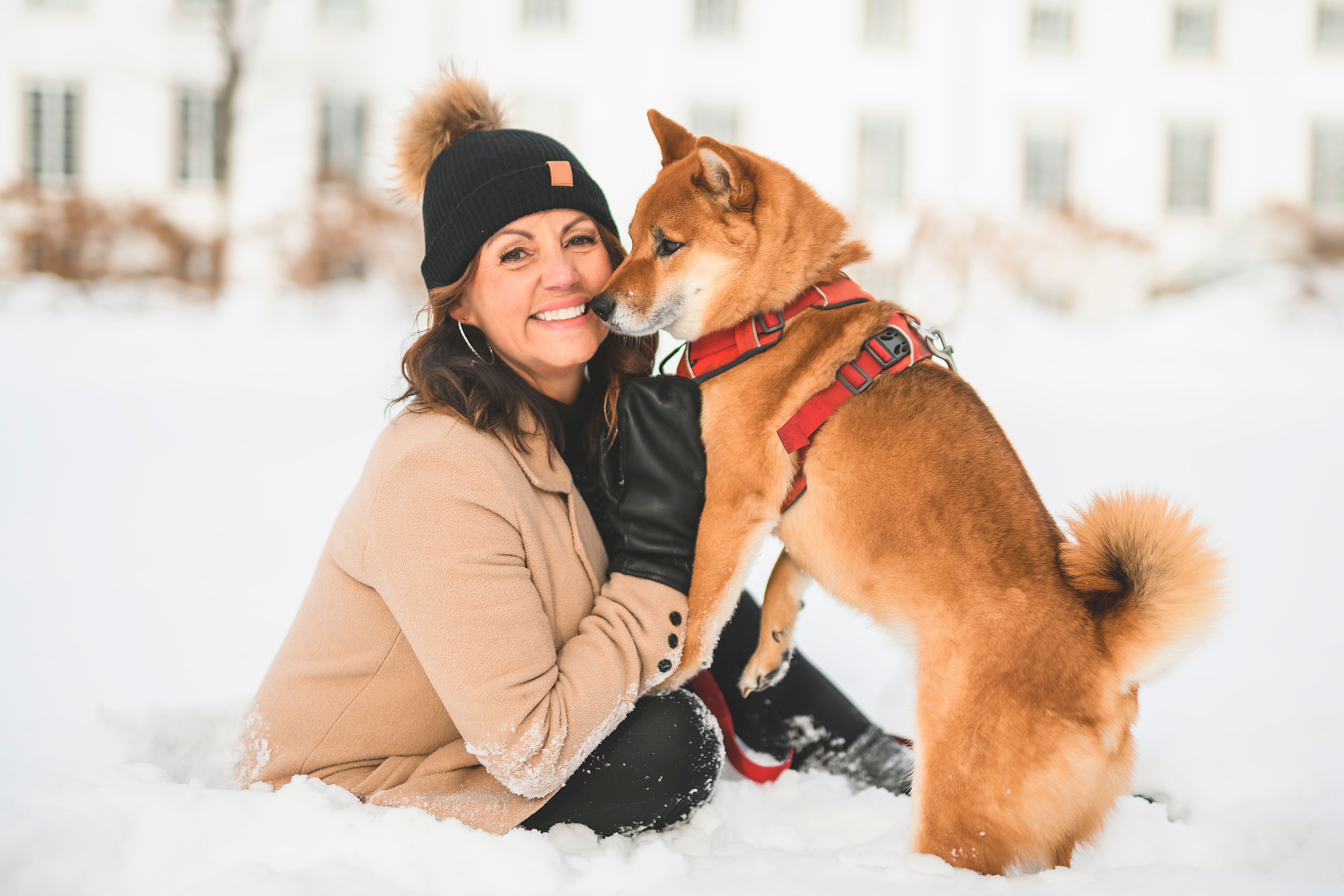 pet accessories fashion