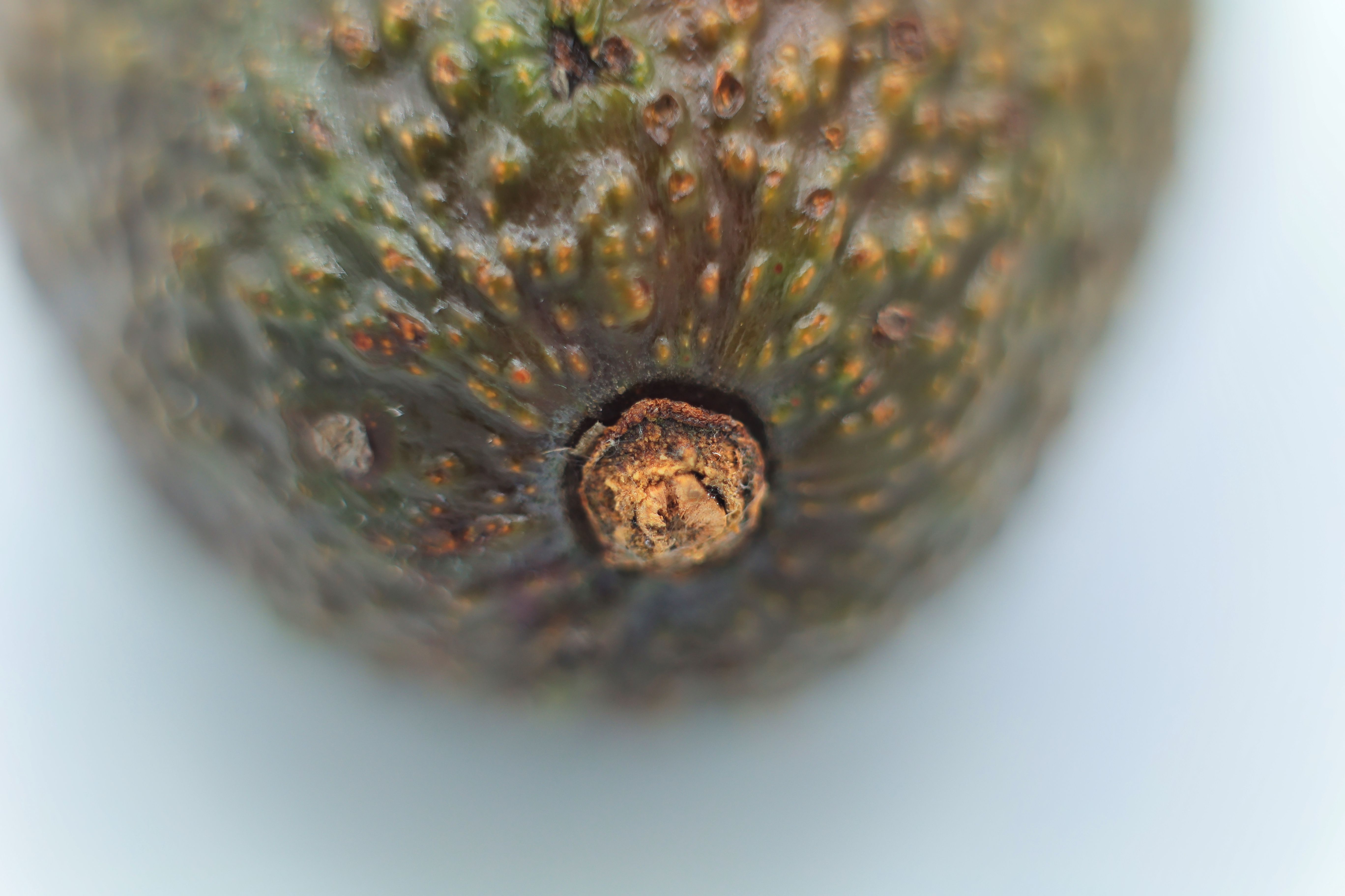 recherche avocat